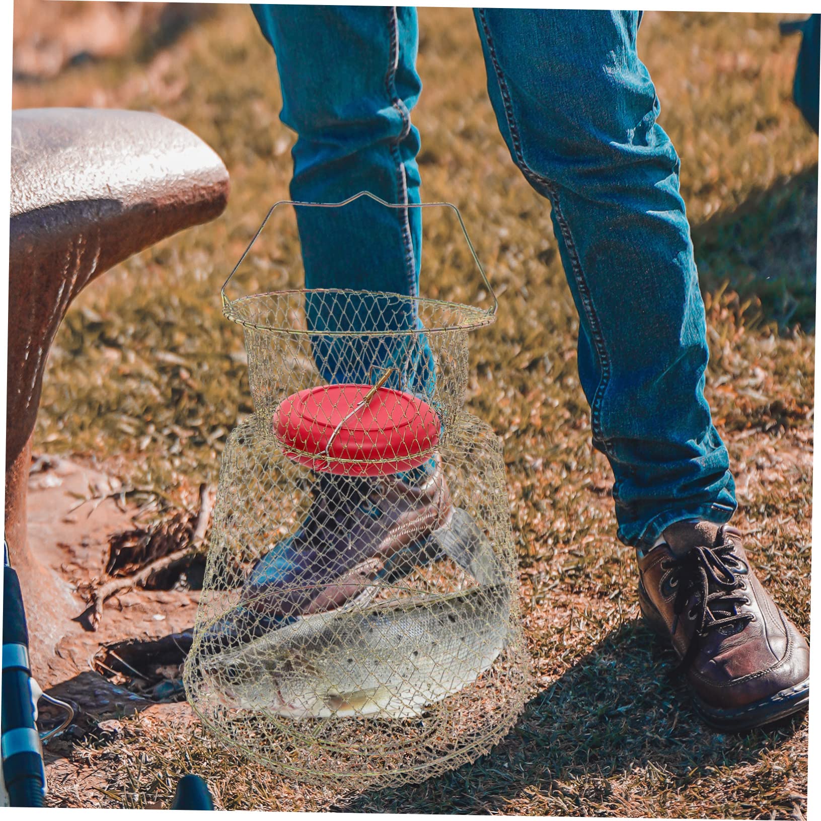 Cestino della guardia di pesce filo trappola per pesci cesto di pesce per il pesce pescato gabbie cantra gabbia da pesca rete a rete per gamberi di pesce porta pesca ferro da stiro