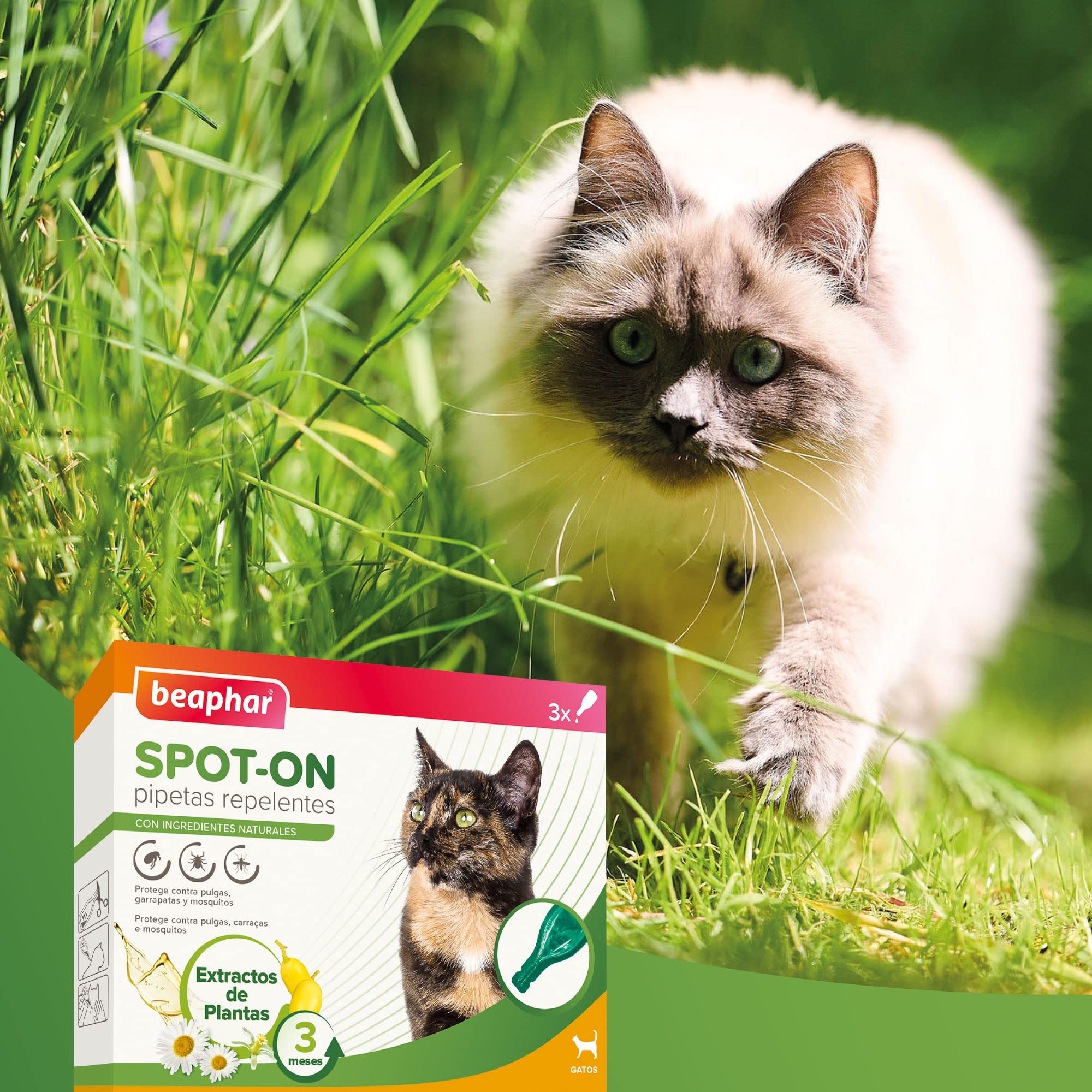 Beaphar Pipetas repelentes Naturales para Gatos - 3 Meses de protección Natural contra garrapatas, pulgas y Mosquitos - para Todo Tipo de Gatos - 3 pipetas de 1ml, El embalaje puede variar