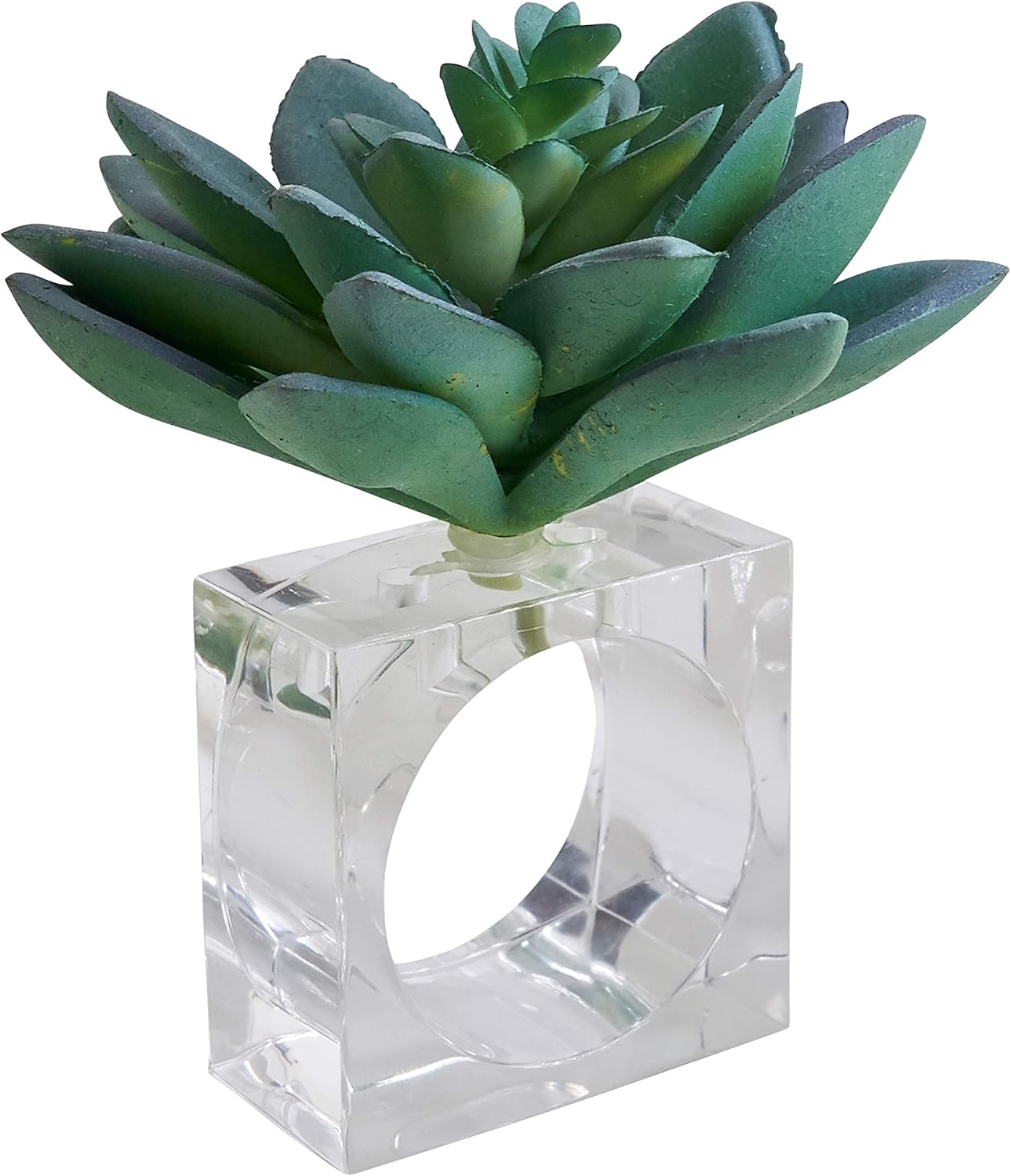 Set of 4 Green Plastic Succulent Napkin Rings