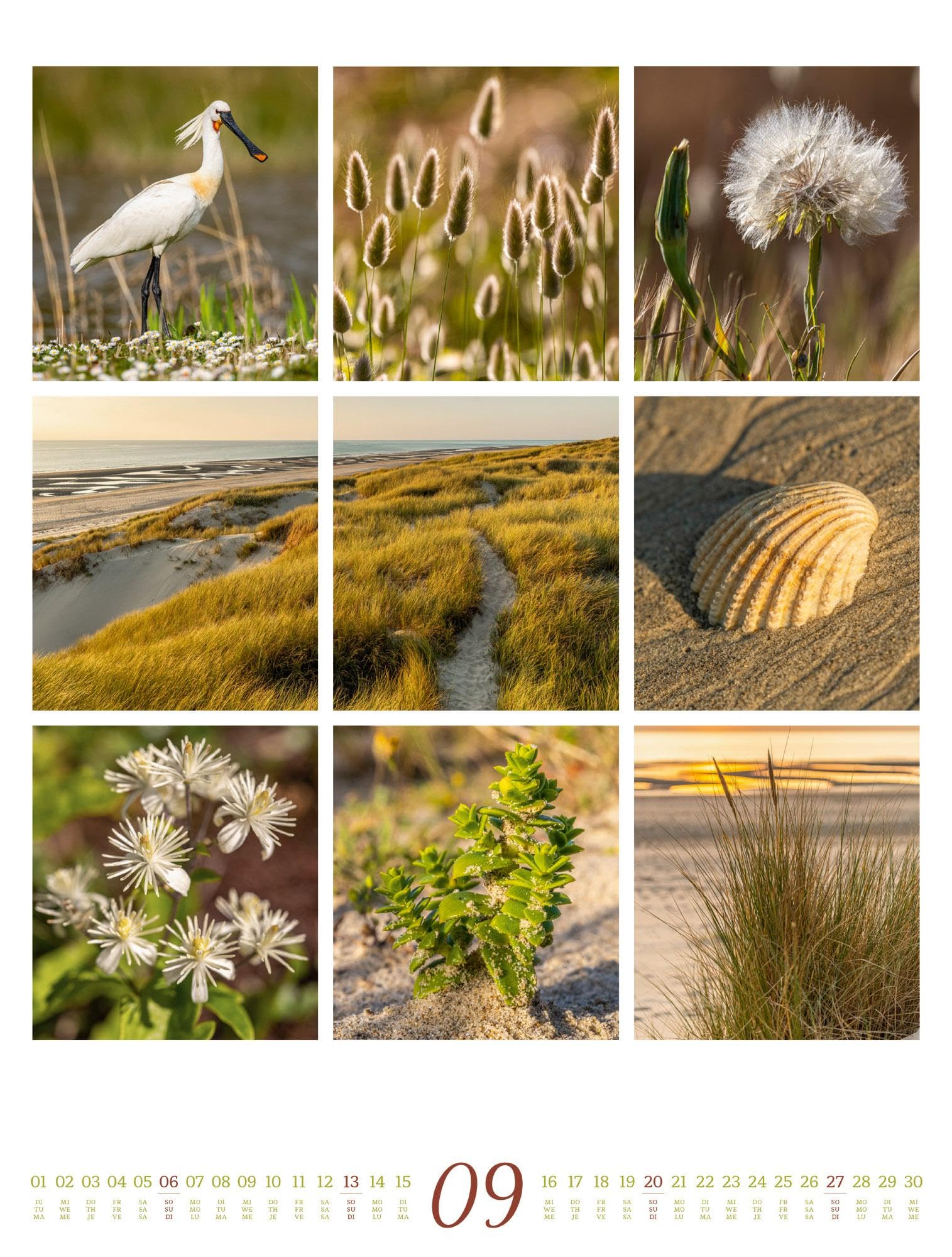 Inspiration Natur Kalender 2026 | Vielfältiger Natur-Kalender im großen Hochformat (50x66 cm) | Mehrteilige Bildmosaike im Triplet-Stil