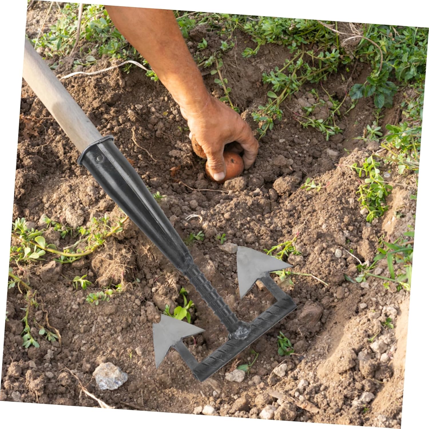 BESPORTBLE Triangle Hoe Manual Weeding Tool for Garden Digging Heavy Duty Cultivator Sharp Beak Head for Soil Loosening and Plowing