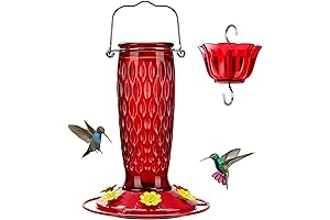 Hangable Glass Hummingbird Feeders for Outdoors - Best Choice for Hummingbirds