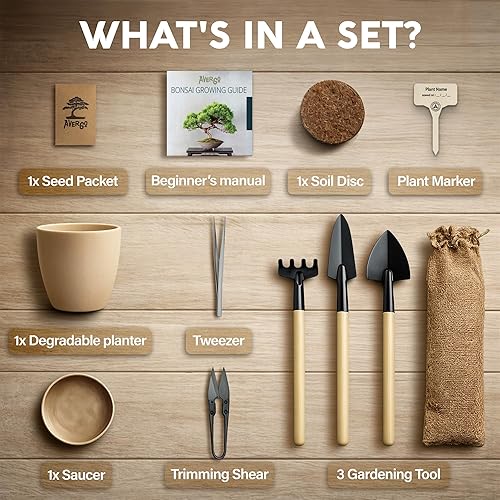 Miniatura 6 de Kit de inicio de Bonsái  Cultivo de Jacaranda Bonzai  Kit completo de árbol interior para cultivar plantas con herramientas y maceta  Regalos de