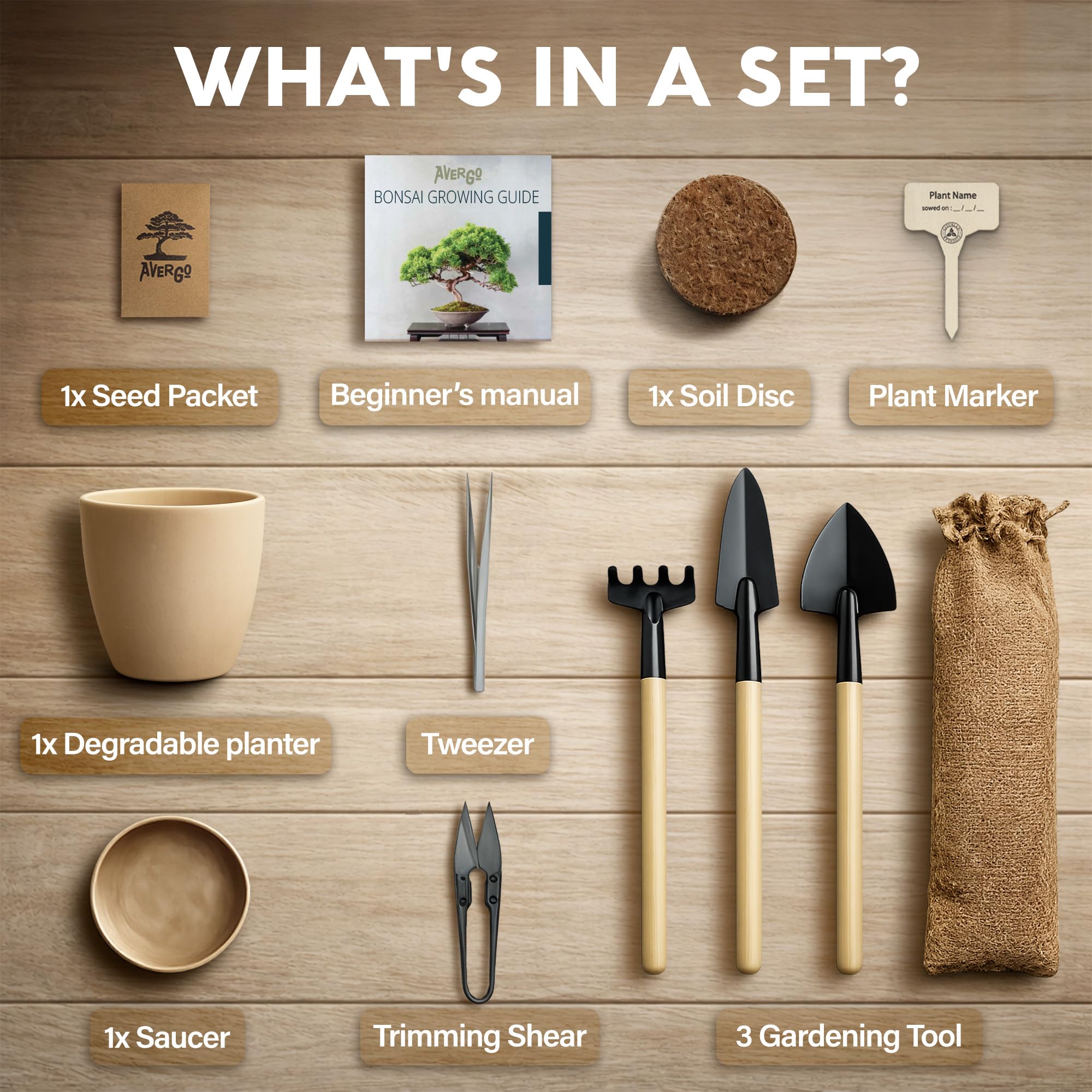 Bonsai - Kit de démarrage - Jacaranda bonzai à partir de graines | Kit complet d'arbre d'intérieur pour cultiver des plantes avec outils et pots de fleurs, cadeaux de jardinage pour