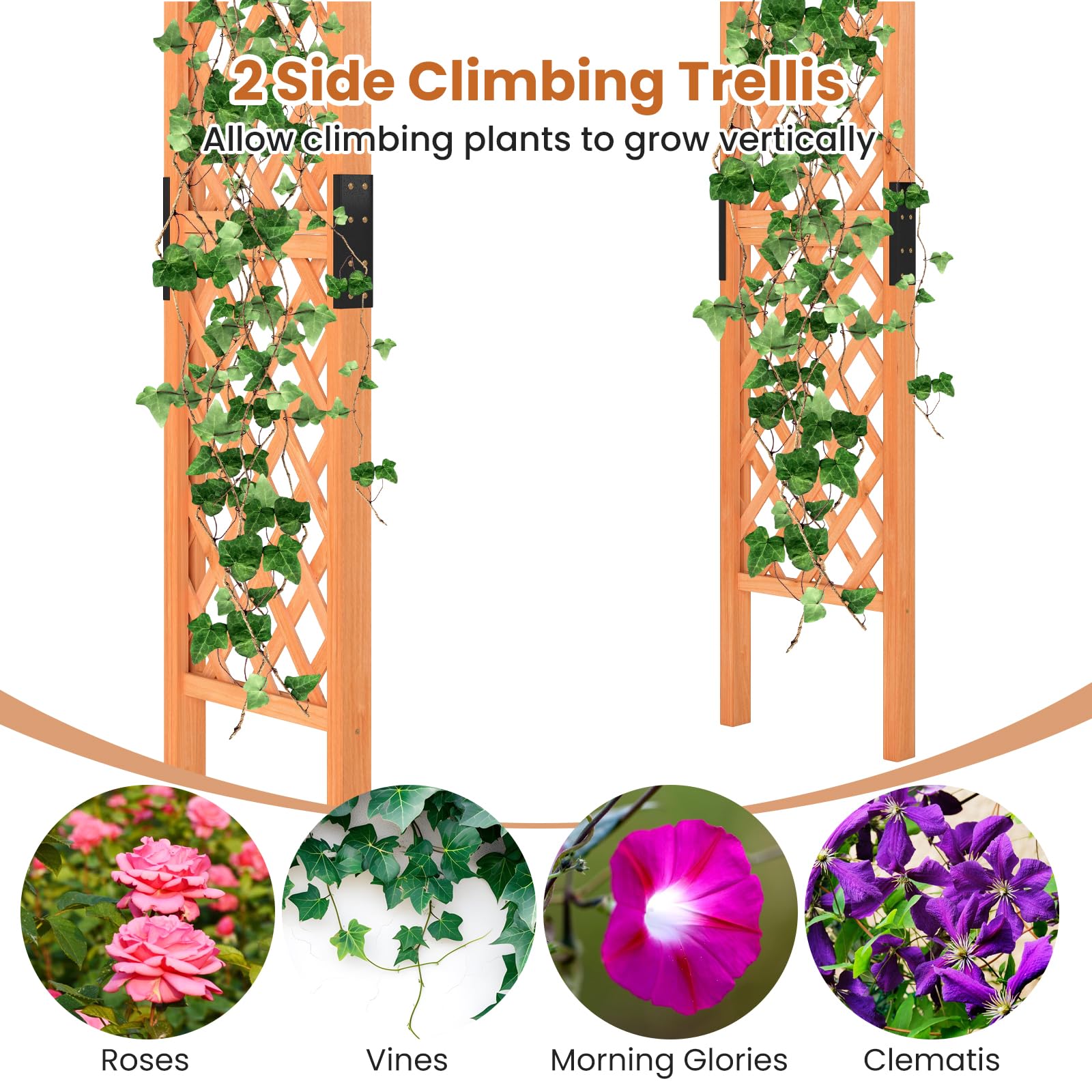 HOMASIS Arco da Giardino in Legno, Arco per Piante Rampicanti, Supporto da Giardino per Feste, Matrimoniali, Traliccio per Rampicanti, Rose, 132 x 45,5 x 235 cm, Arancione