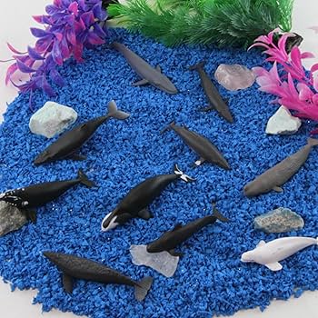 Amazon.com: Safari Ltd. Whales TOOB - 10 Mini Plastic Whale
