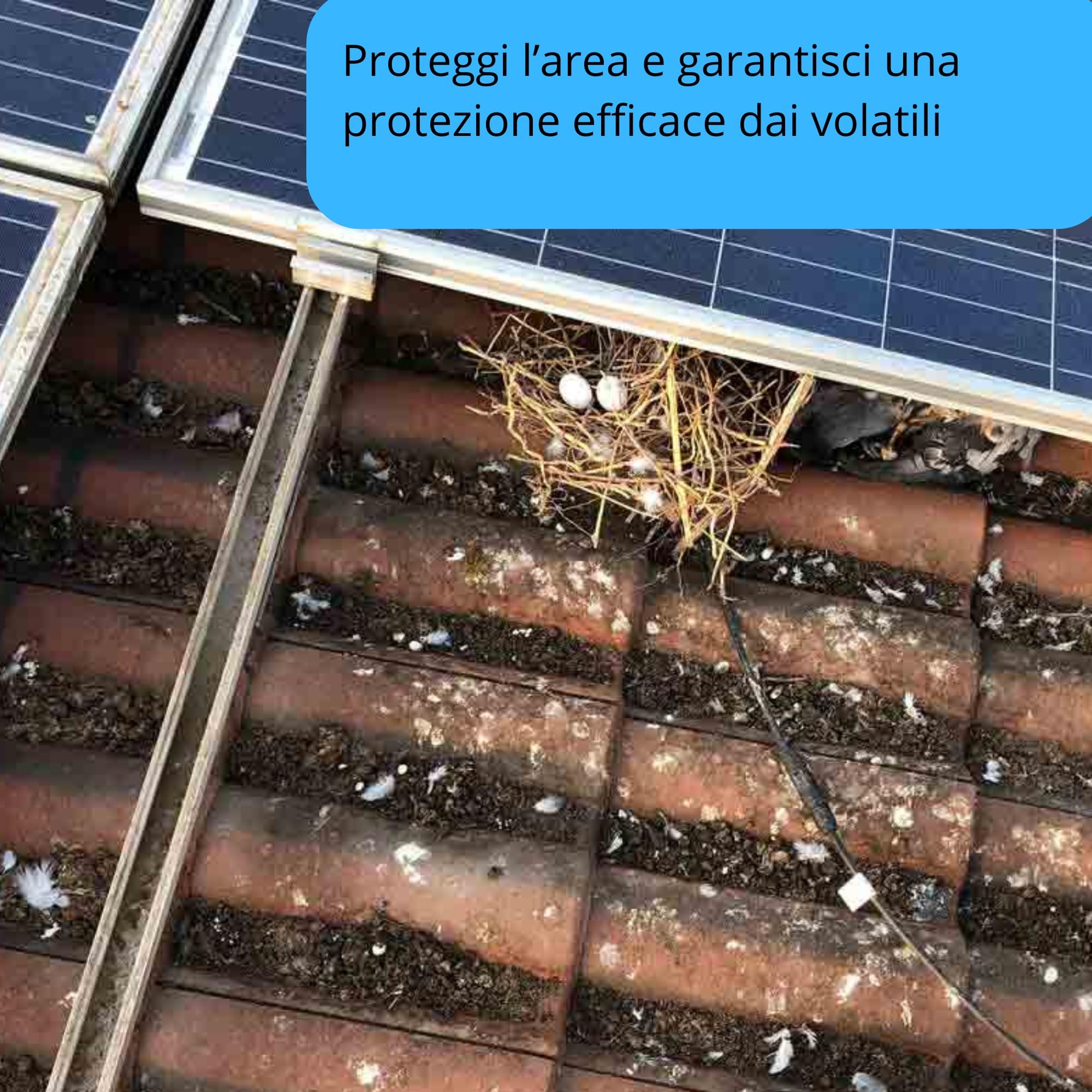 Solar Safe - sistema di protezione Universale da uccelli e piccioni per Fotovoltaico - Brevettata, Ecosostenibile e resistente ai raggi UV (22 metri (40 unità) con CLIPS per pannelli spessore 30mm)