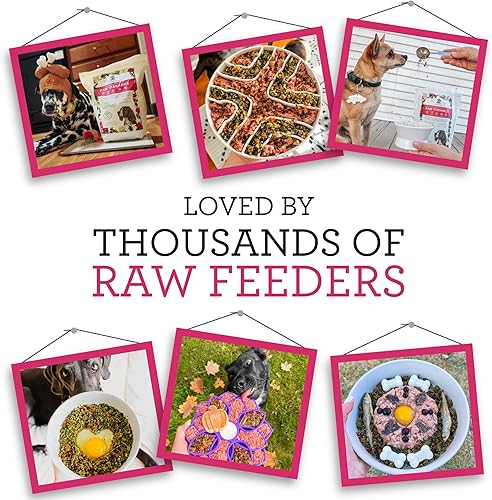 Miniatura 8 de Dr. Harvey's Raw Vibrance - Alimento para perros, mezcla de base deshidratada de grado humano para perros, dieta cruda sin granos (3 libras)