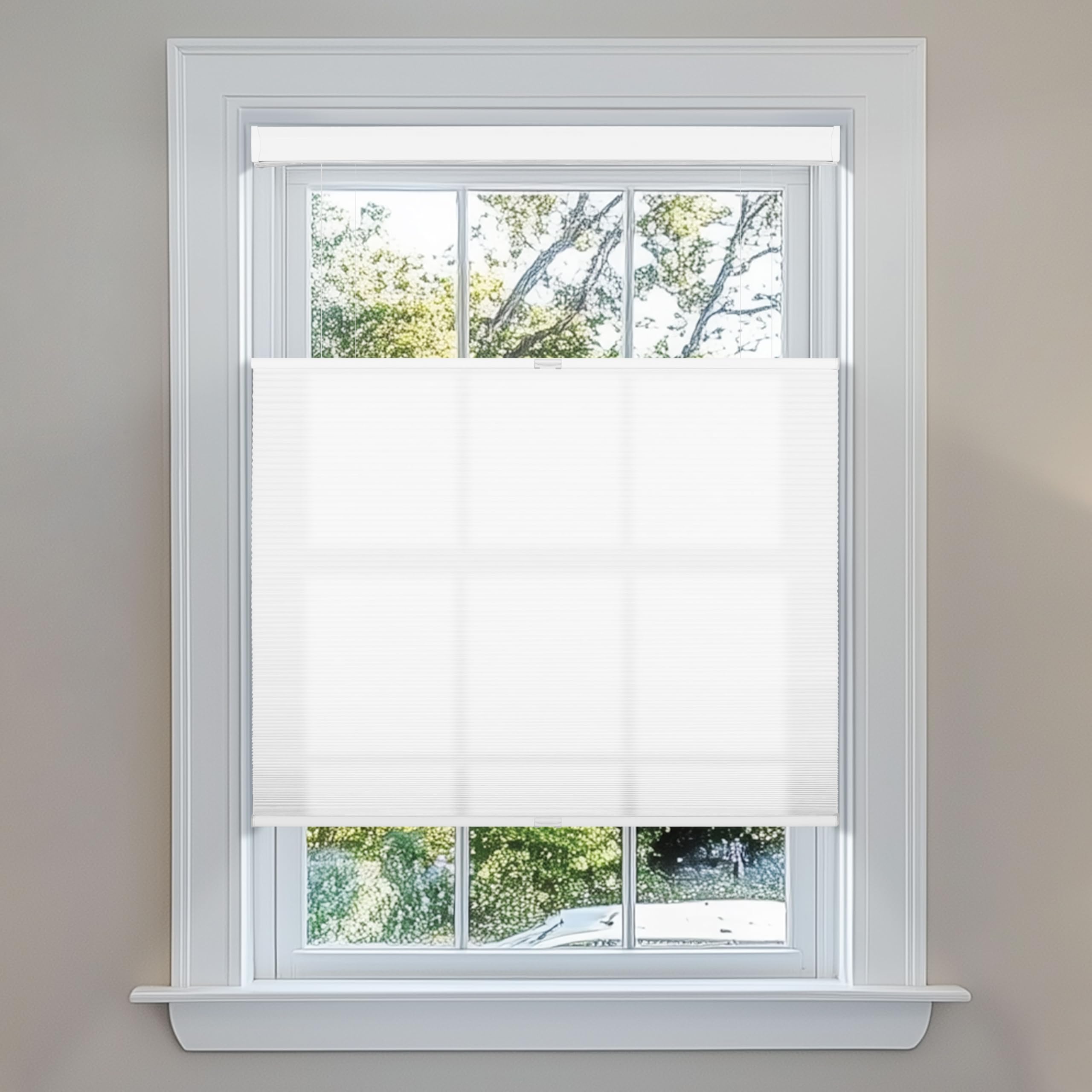 Berissa Light Filtering Blinds, Top Down Bottom Up Cellular Shades for French Door Window, 1" Honeycomb Fabric Thermal Insulated Privacy for Indoor