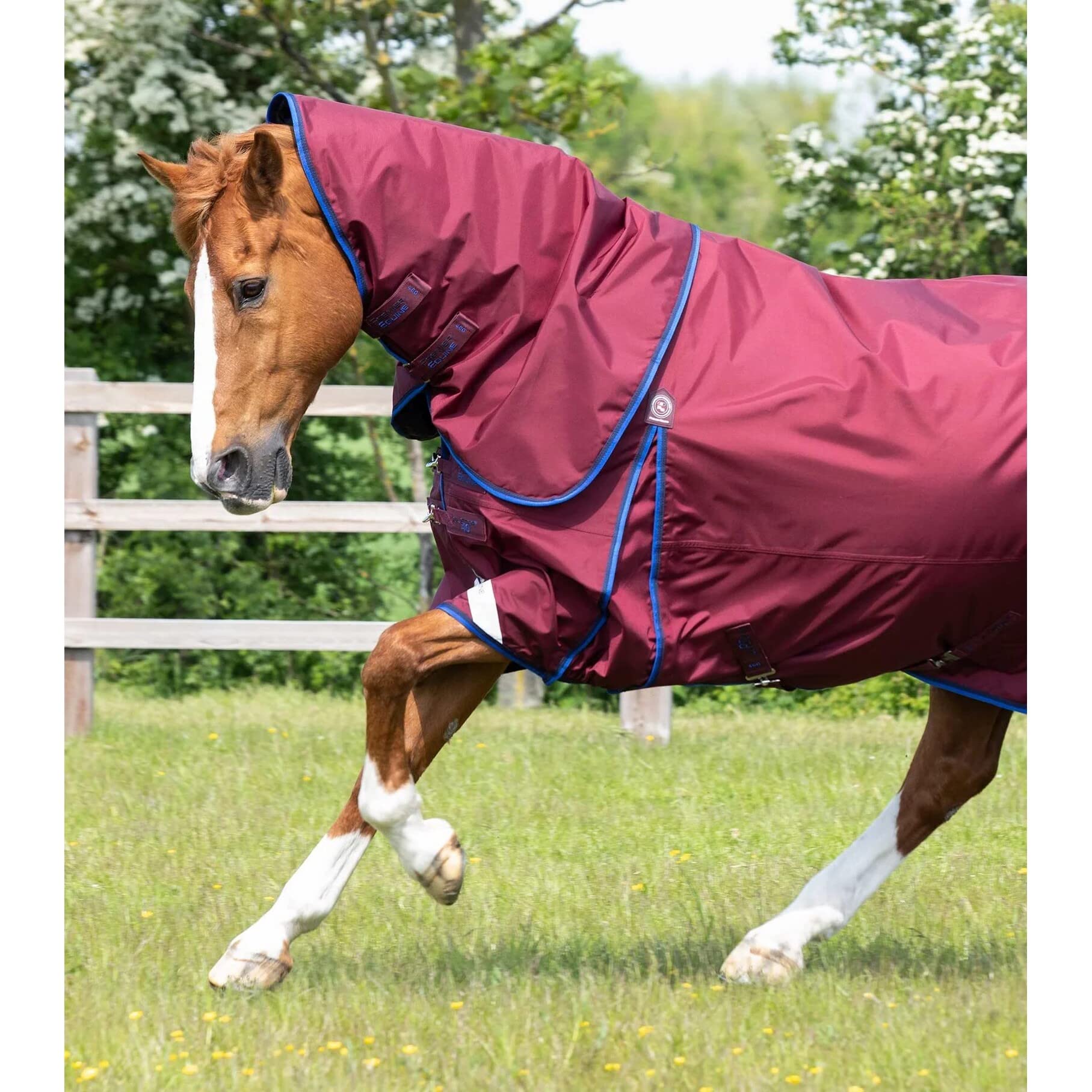 Coperta impermeabile per cavalli con copricollo Premier Equine Buster 40g