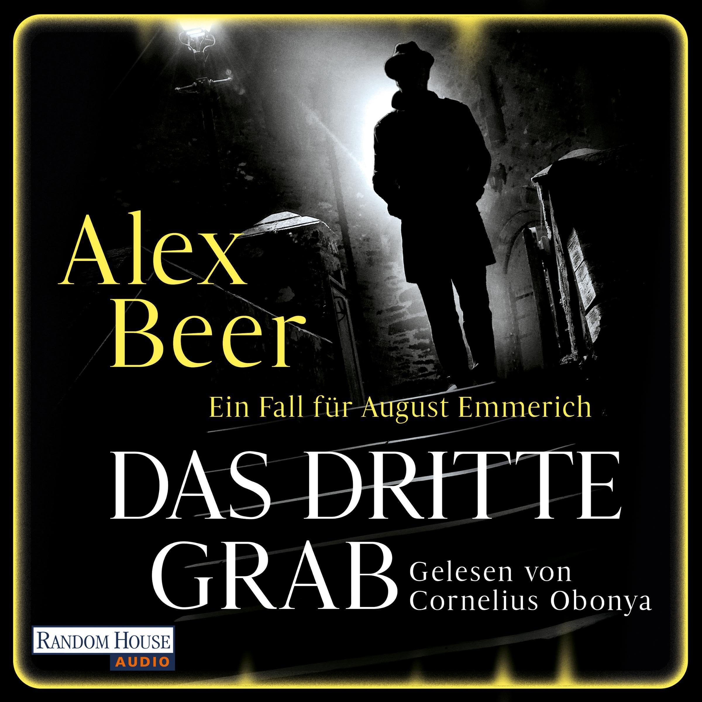 Cover art for Das dritte Grab