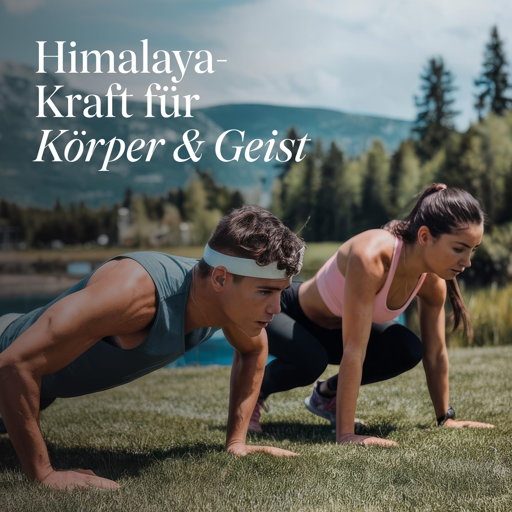 VETAIN Original Himalaya Shilajit - 800 mg - 50% Fulvinsäure & 12% Huminsäure - 120 Kapseln aus Shilajit Extrakt - Hochdosiert, vegan & ohne Zusätze – laborgeprüft & produziert in Deutschland