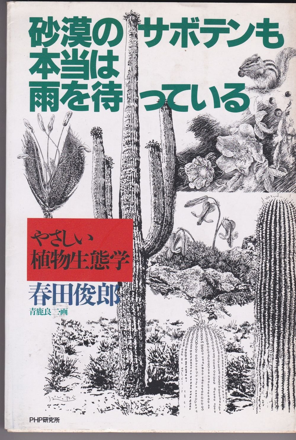 砂漠のサボテンも本当は雨を待っている やさしい植物生態学 春田 俊郎 本 通販 Amazon