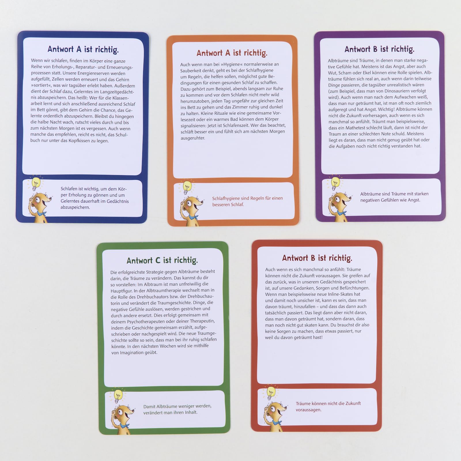 Wilbo weiß was über Schlaf und Albträume: Wissensquiz zur Psychoedukation in der Kinderpsychotherapie. 50 schlaue Fragen und wissenswerte Antworten. ... 9,8 x 14,3 cm (Beltz Therapiekarten)