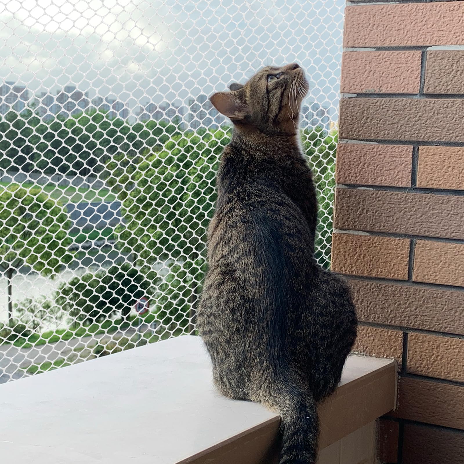 Aystkniet Kattennet Balkon, Kattennet Versterkt met Bevestigingskoord