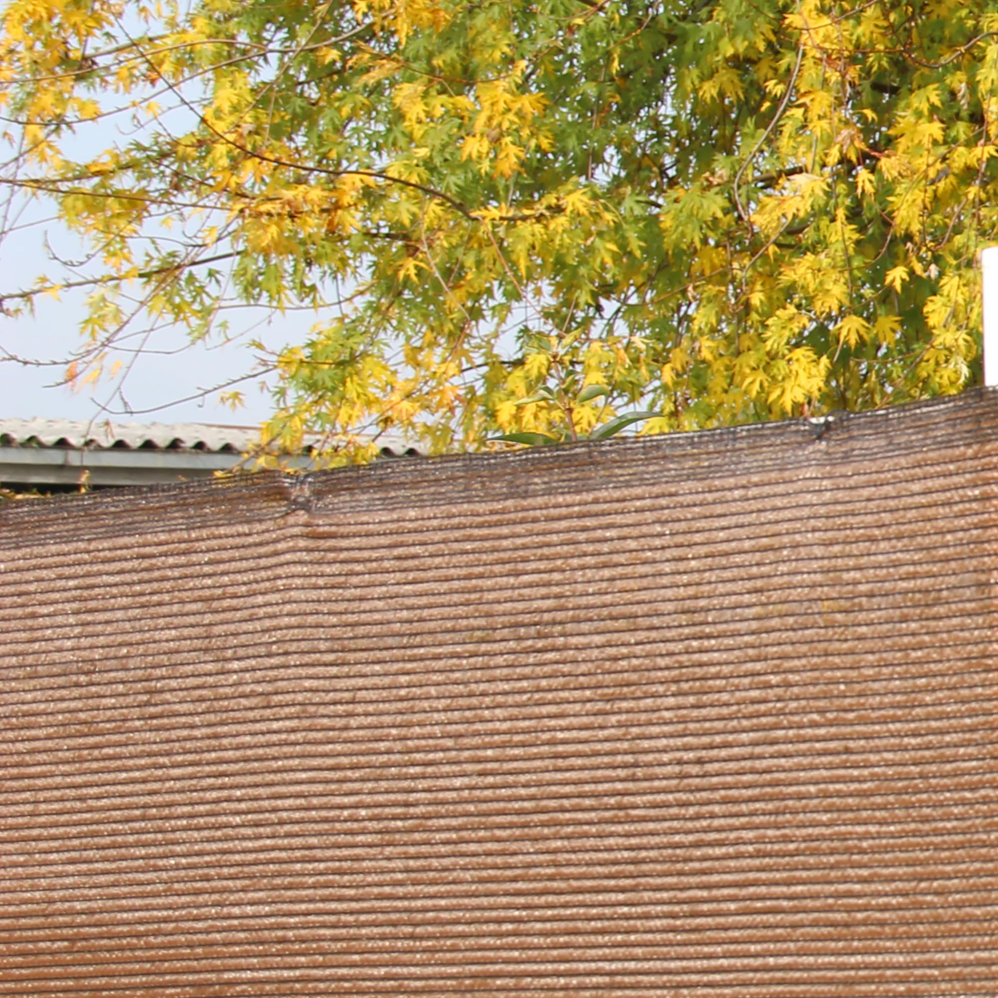 TENAX Soleado, schermatura, Rete Tessuta, schermante, frangivista, Marrone, 1,00 x 5 m