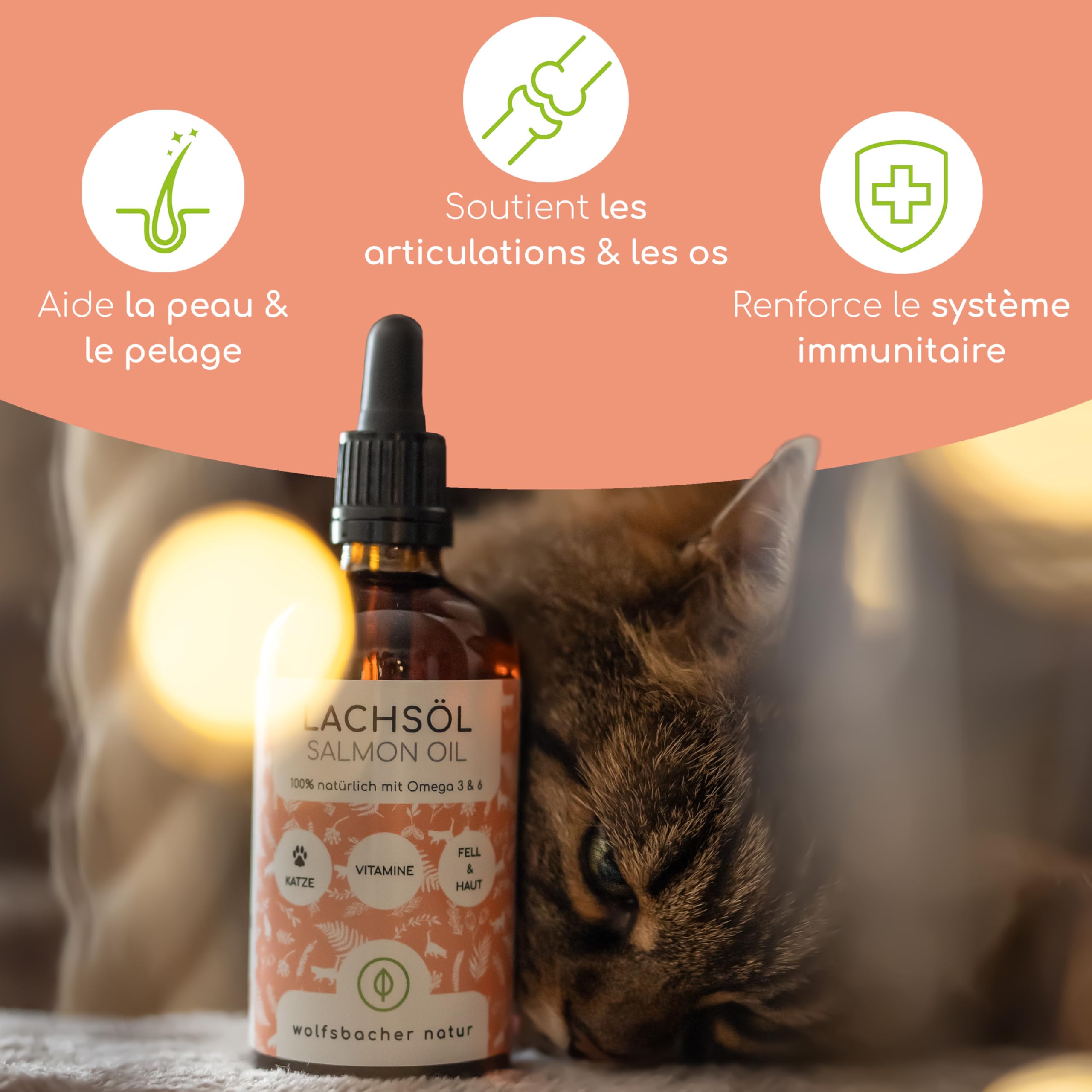 Huile de Saumon pour Chats avec Oméga 3 & 6 | 100ml Huile de Saumon Norvégien Naturelle de l'Atlantique | Complément Hautement Dosé pour Chats
