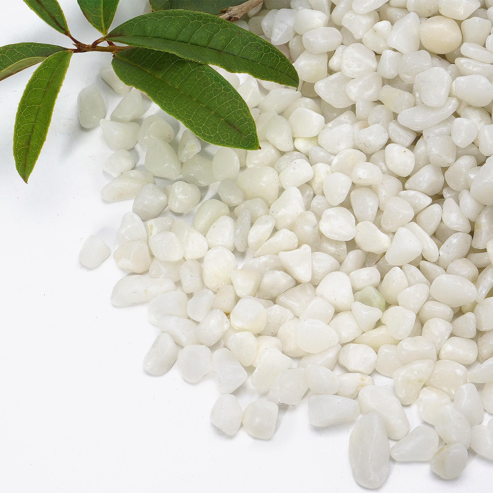 Ciottoli bianchi lucidi naturali da 1 kg, rocce bianche decorative da 0,9 cm per piante in vaso, riempimento, acquari, rocce decorative all'aperto