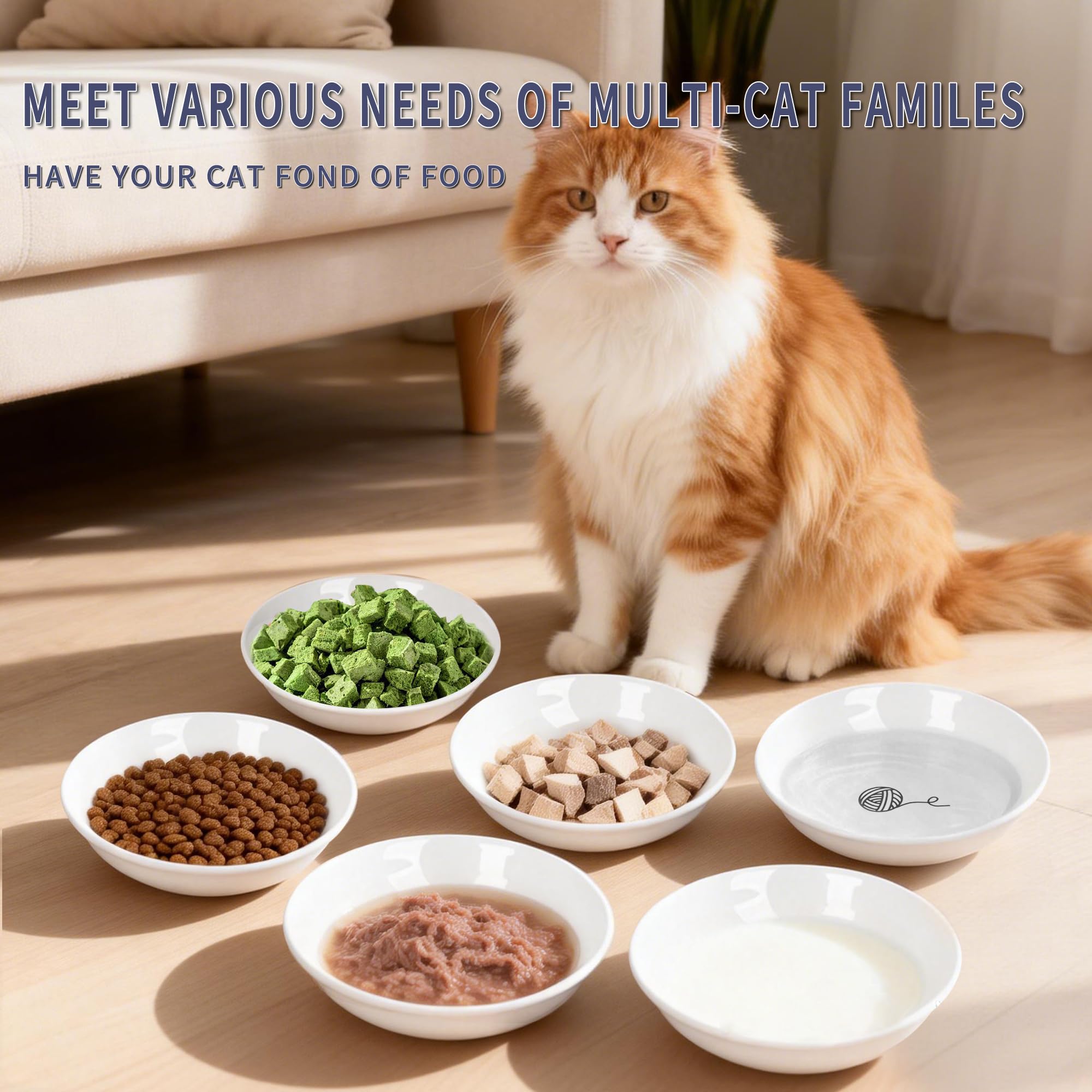 Lot de 6 gamelles pour chat en céramique anti-moustaches et fatigue - Assiettes peu profondes pour nourriture humide et sèche et eau - Base en silicone antidérapante (éléments classiques