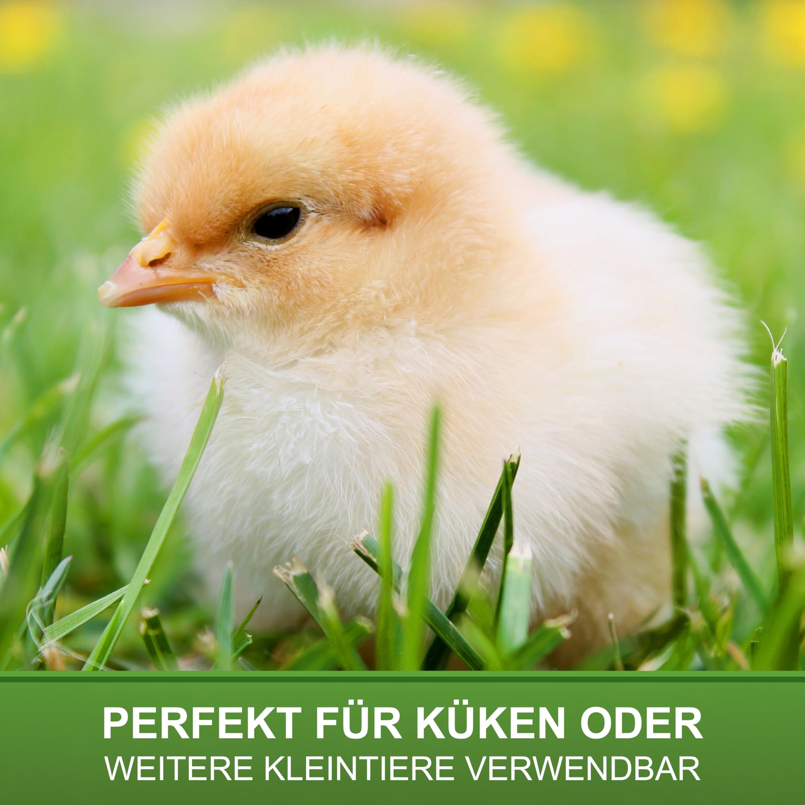 Küken Aufzucht Set - Wärmeplatte 25x25cm (13W, 230V) - Heizplatte für die Kükenaufzucht + 1,5L Tränke + 1kg Futtertrog - effizient & sparsam - geeignet für Geflügel & Hühner