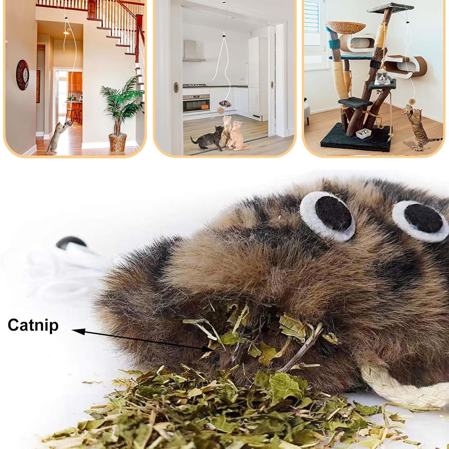 Aidiyapet Cat Toys for Indoor Cats Adult Kitten, Interactive Door Hanging Catnip Toy, Self-Play Chasing Exercise Entertain Cat Toy - for Hunting Exercising Eliminating Boredom, All Breed Sizes (Grey) 3 81Qa9cvco1L. AC SL1500