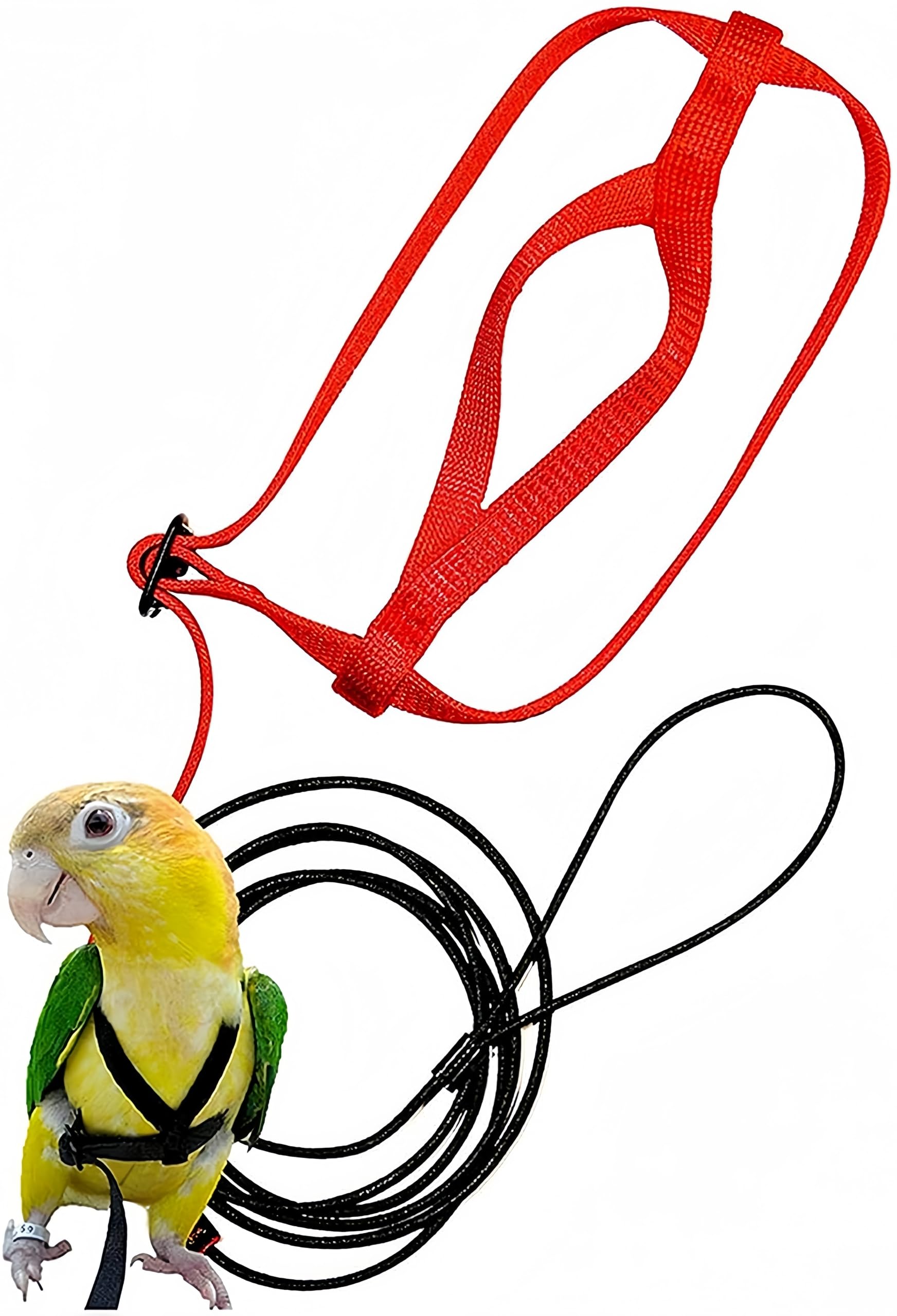 Guangyu Vogel-Geschirr (S)