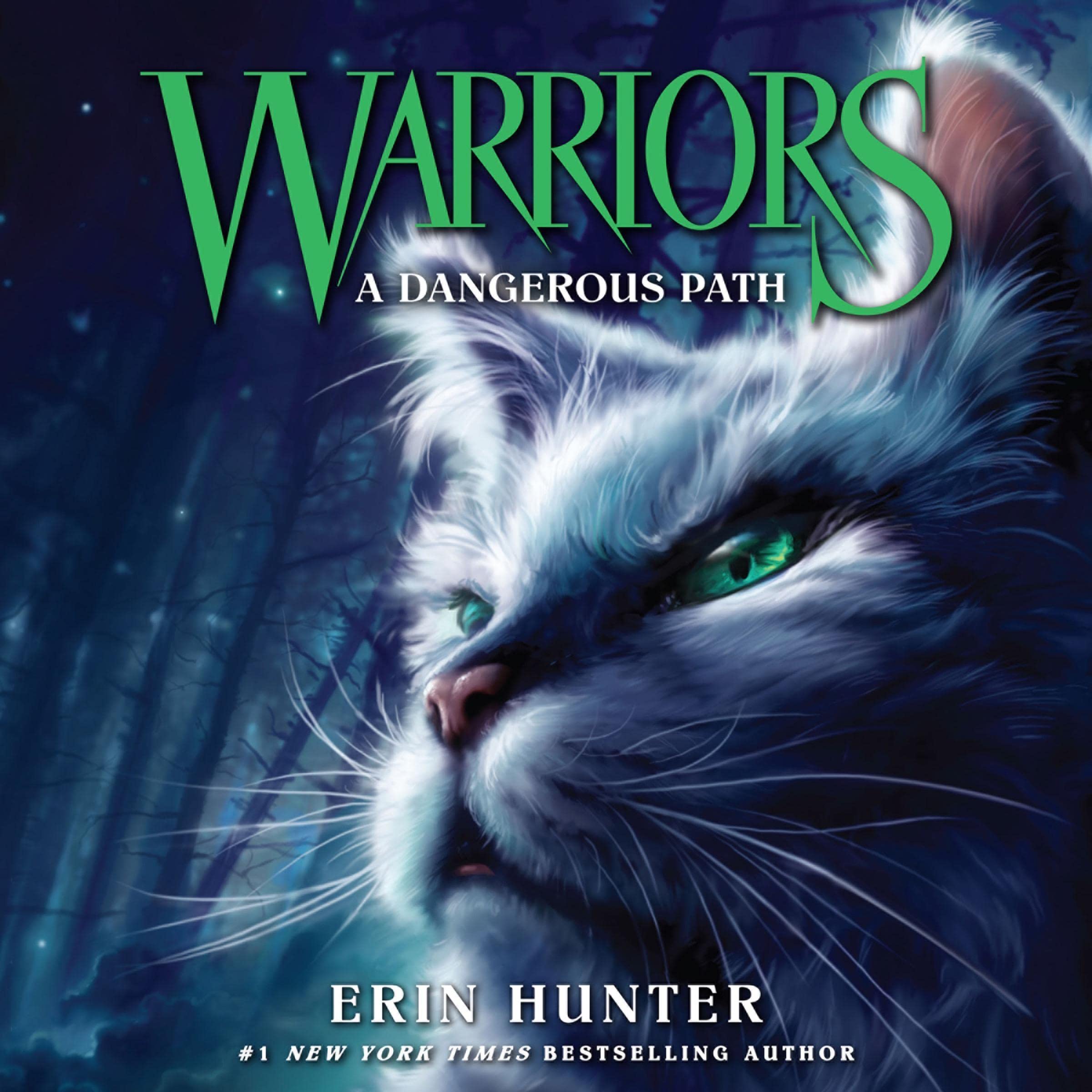 Cover art for A Dangerous Path