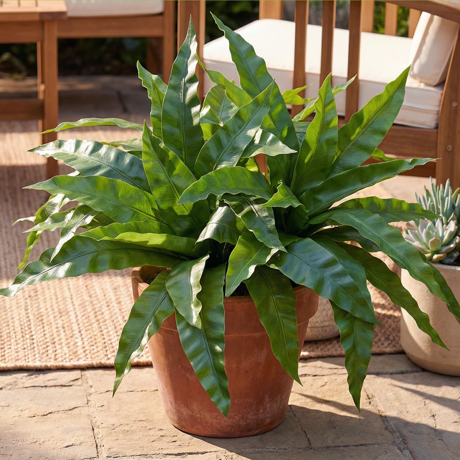 3pcs Artificial Bird's Nest Fern, 27.5" Wide Large Faux Fern Plants (45 Leaves Total), UV Resistant Fake Greenery for Window Box, Planter, Outdoor Porch, Patio & Indoor Home Office Decor