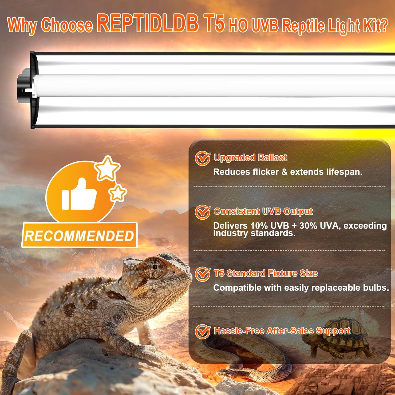 https://m.media-amazon.com/images/I/81QaNDb+inL._AC_SL1500_.jpg