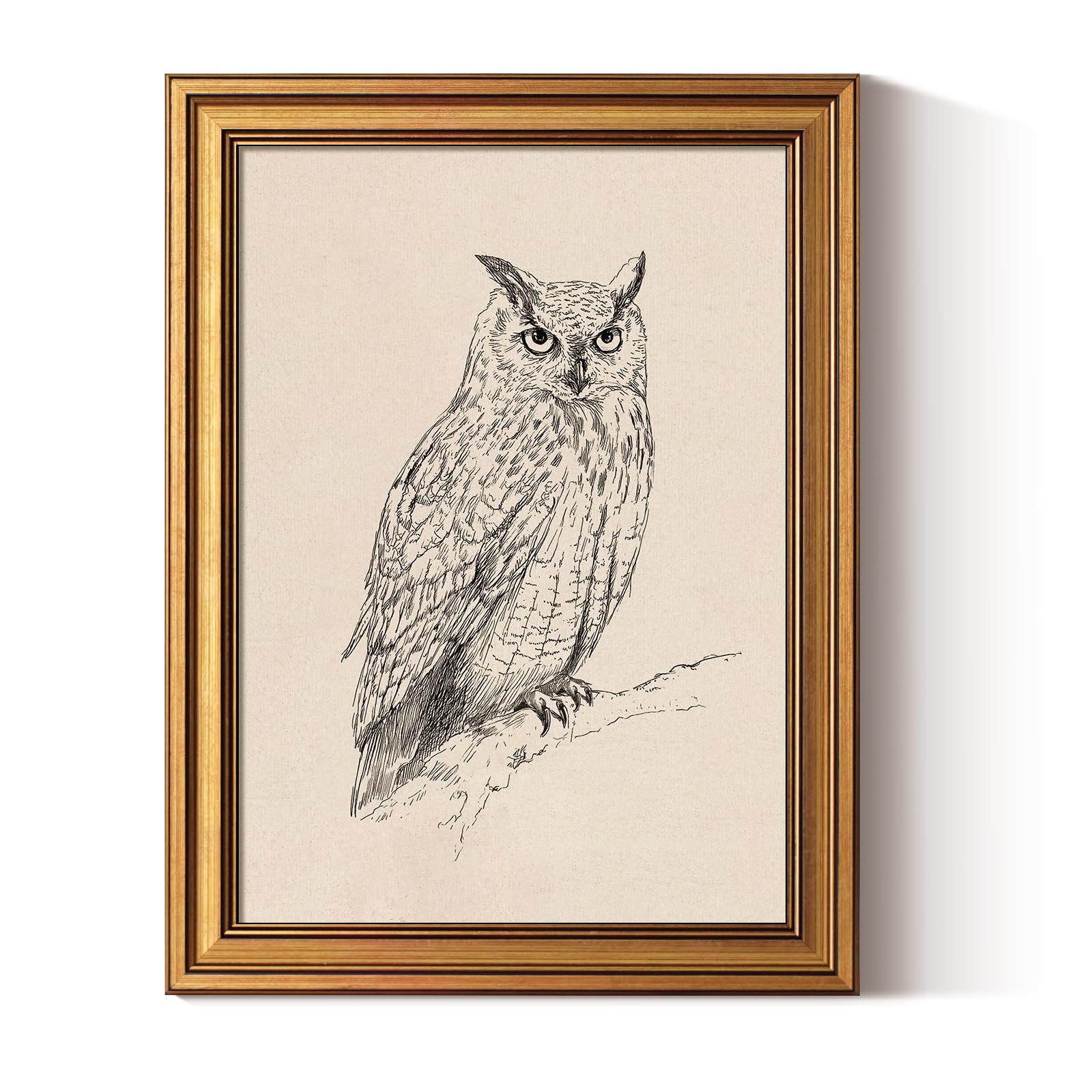 ARPEOTCY Gold Framed Owl Sketch