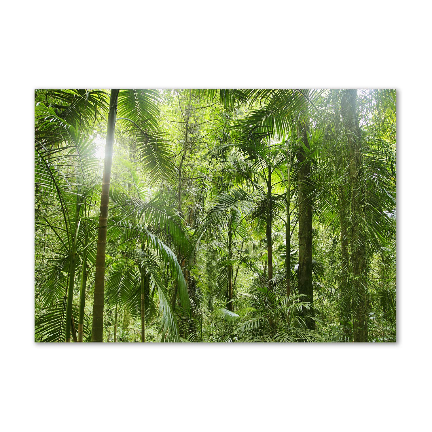 Tableau en verre acrylique Bosque Tropical pour déco murale moderne