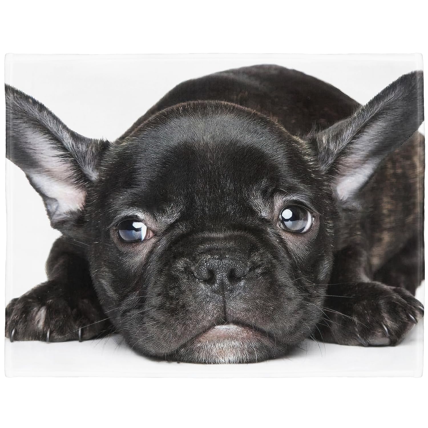 SEANATIVE - Coperta in peluche con stampa 3D con bulldog francese