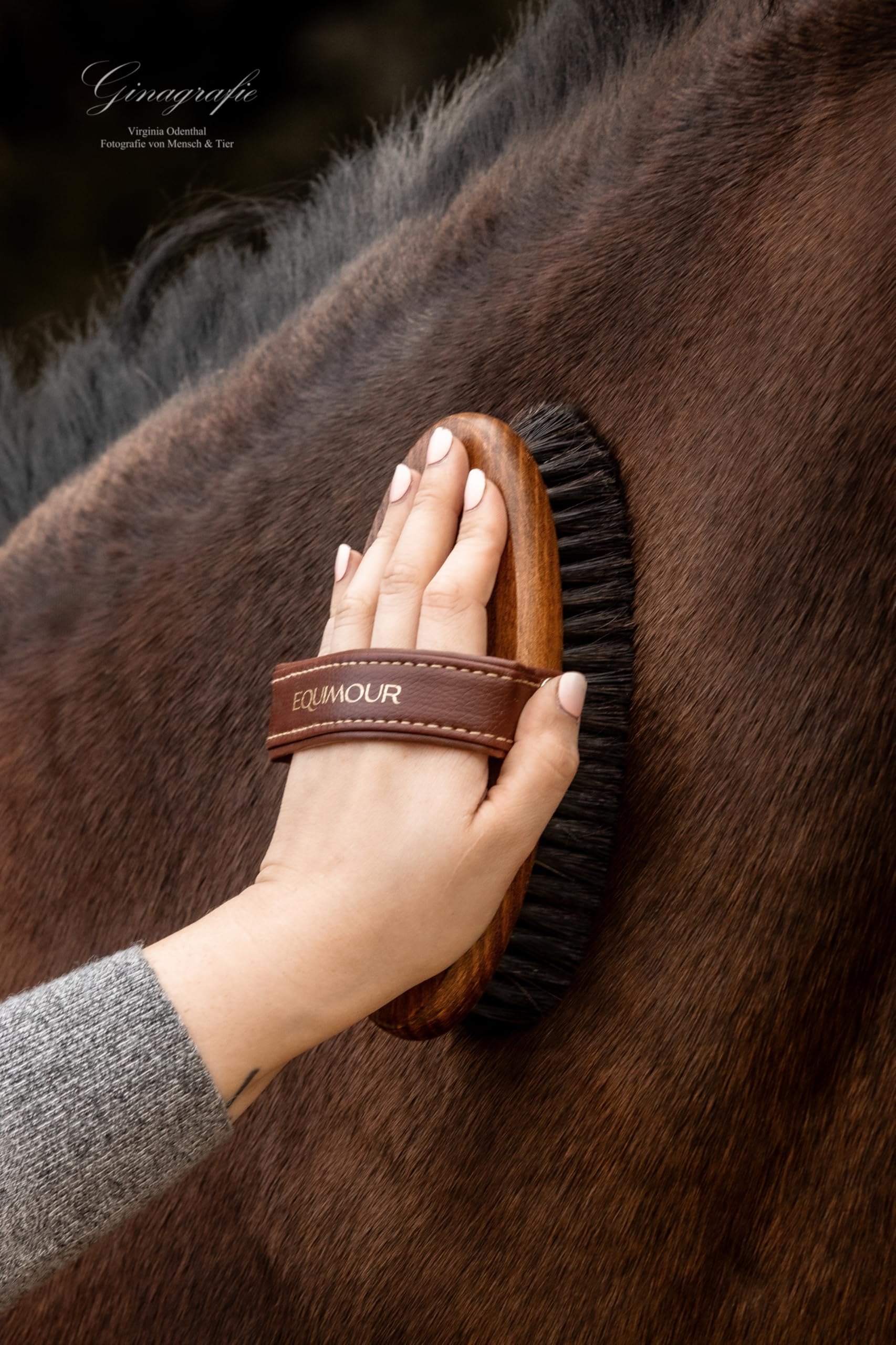 Rosshaar Kardätsche – Pferdebürste aus Holz mit 100% Naturborsten für Fellpflege, Striegeln, Putzen, Glanz & Staubentfernung – Bürste für Pferd, Pony & tägliche Pflege