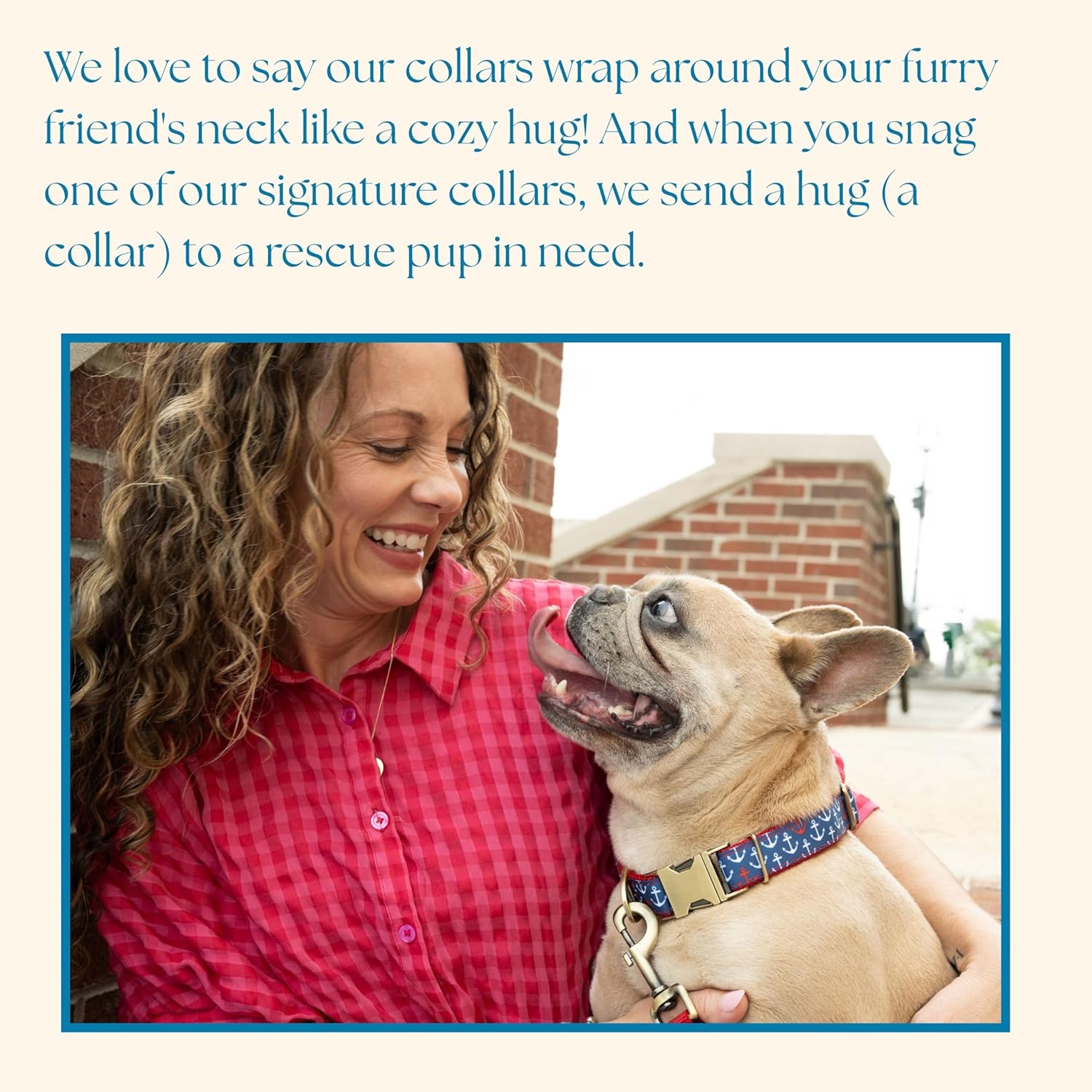 Country Brook Petz - Saddle Up Signature Dog Collar - We Donate to A Shelter with Each Purchase (1 Inch, Medium)