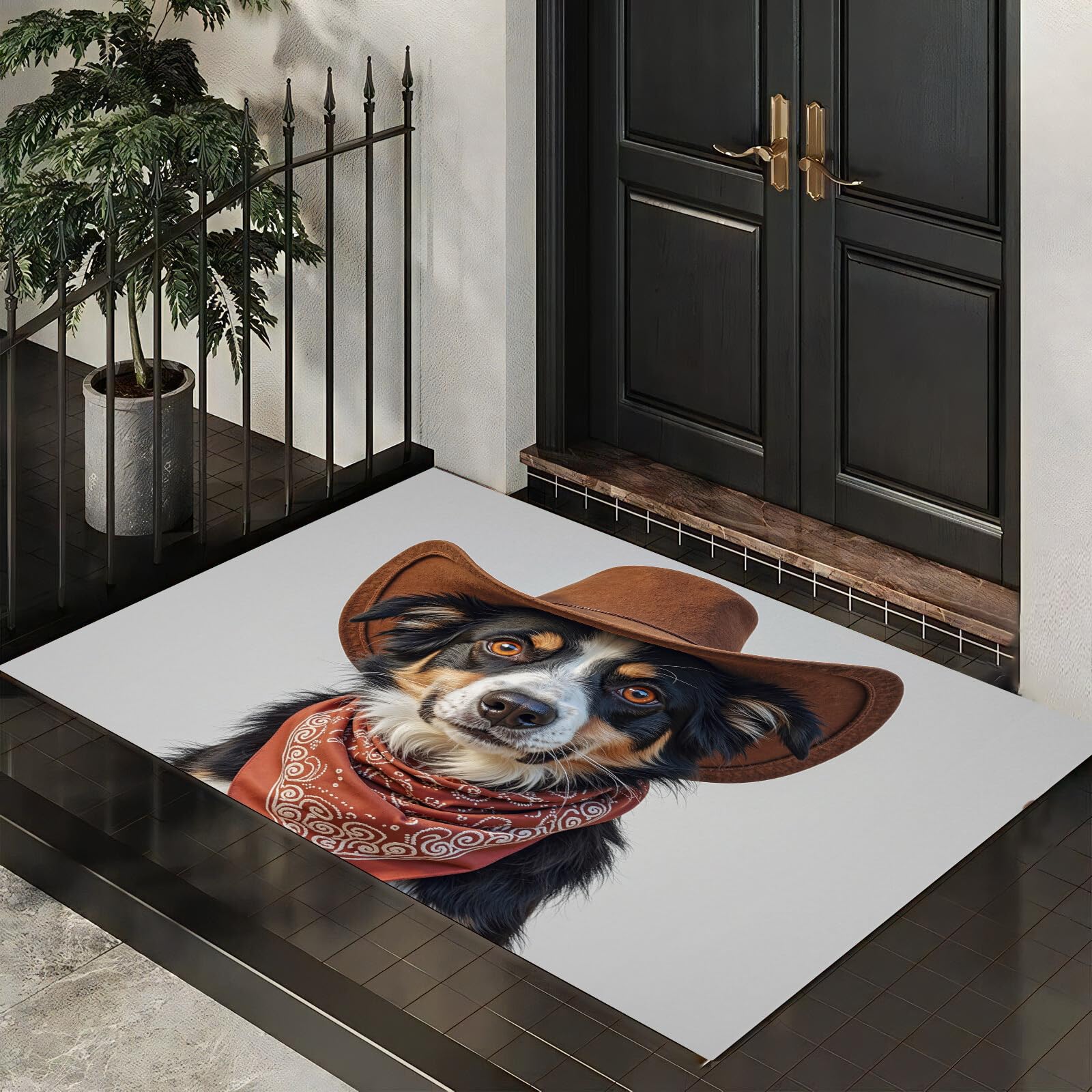Tapis d'entrée Border Collie pour une cuisine ou un couloir branché
