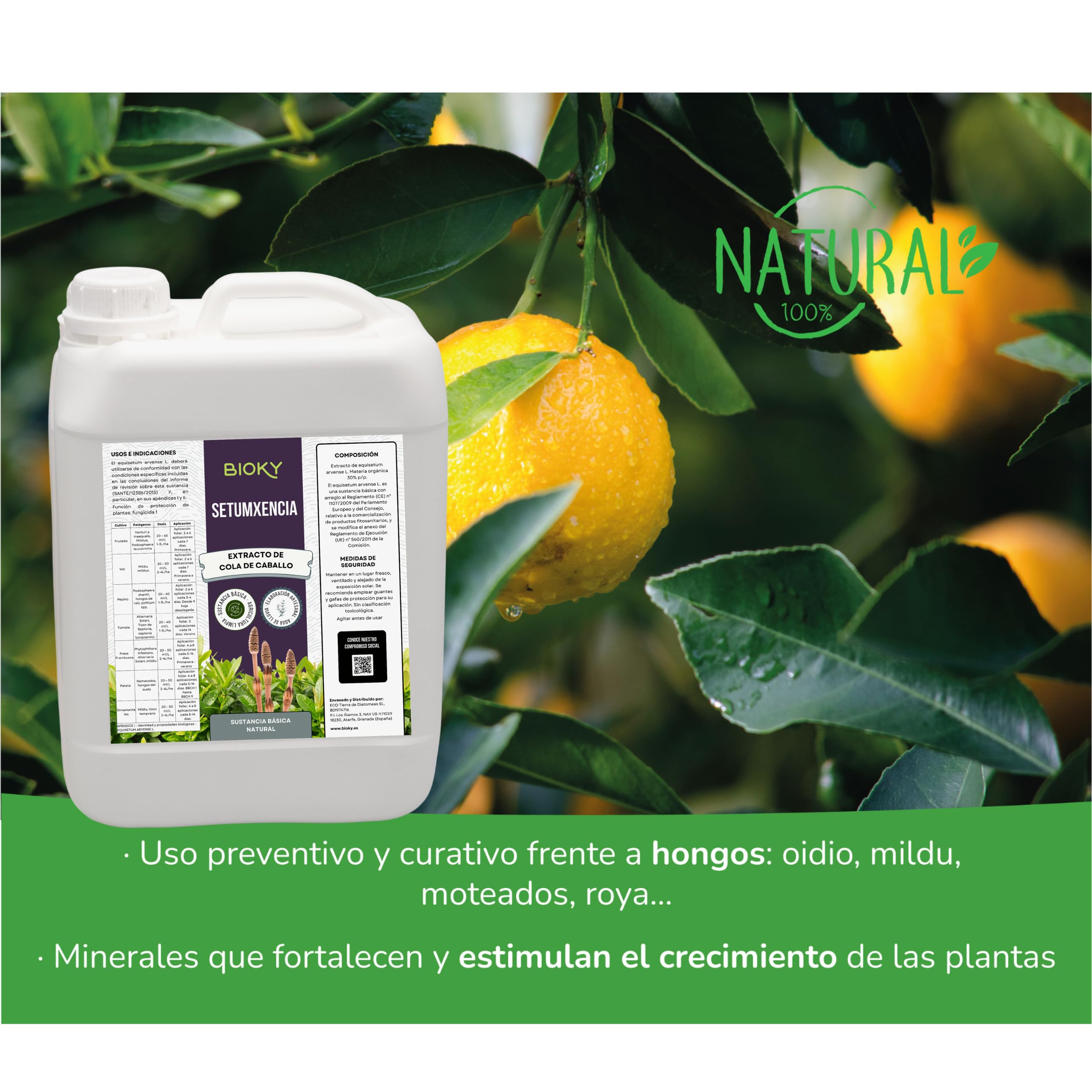 Purin d'Ortie 5L + Extrait de Prêle 5L pour Plantes, Concentrés