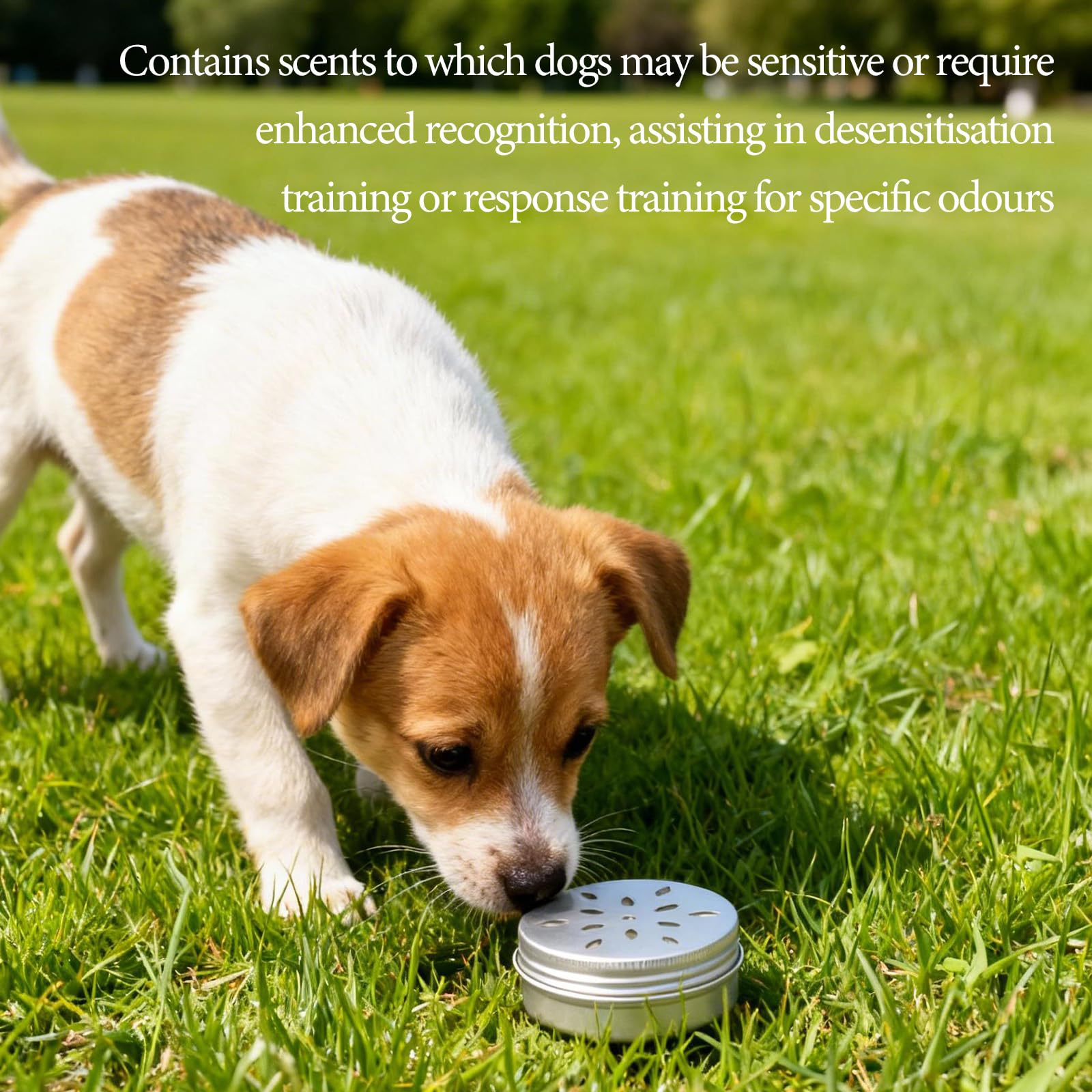 Lot de 10 canettes Parfum Chien en Aluminium avec Ventilation, Récipients à Odeur de 60 ML avec Ventilation, Accessoires de Formation pour Chiens Renifleurs, pour l'Entraînement Olfactif
