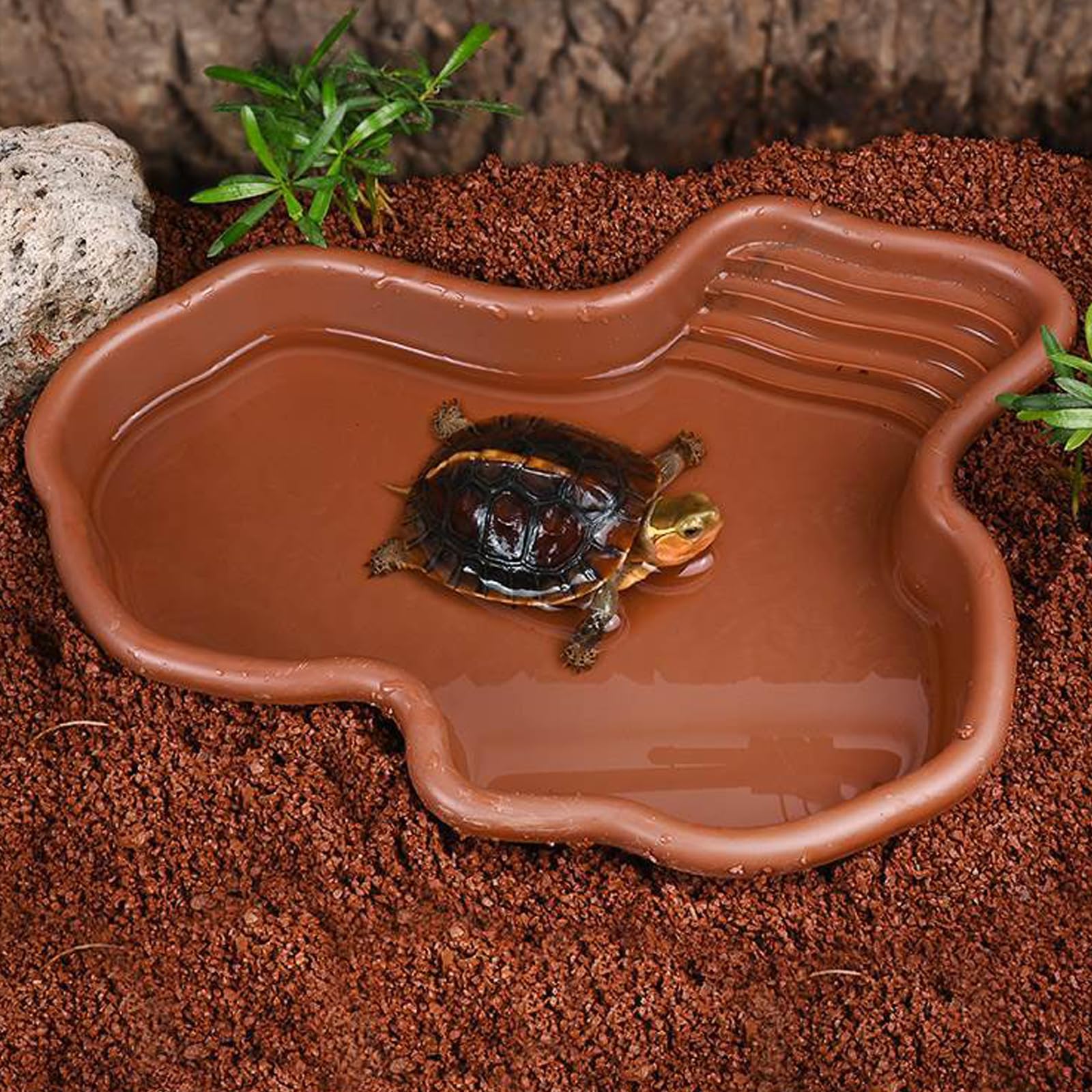 Baignoire pour Reptiles Piscine pour Reptiles Grande Piscine pour Tortue Terrestre avec Un Absorbeur d'eau Manuel pour Les Reptiles Tels Que Tortues, Lézards, Serpents