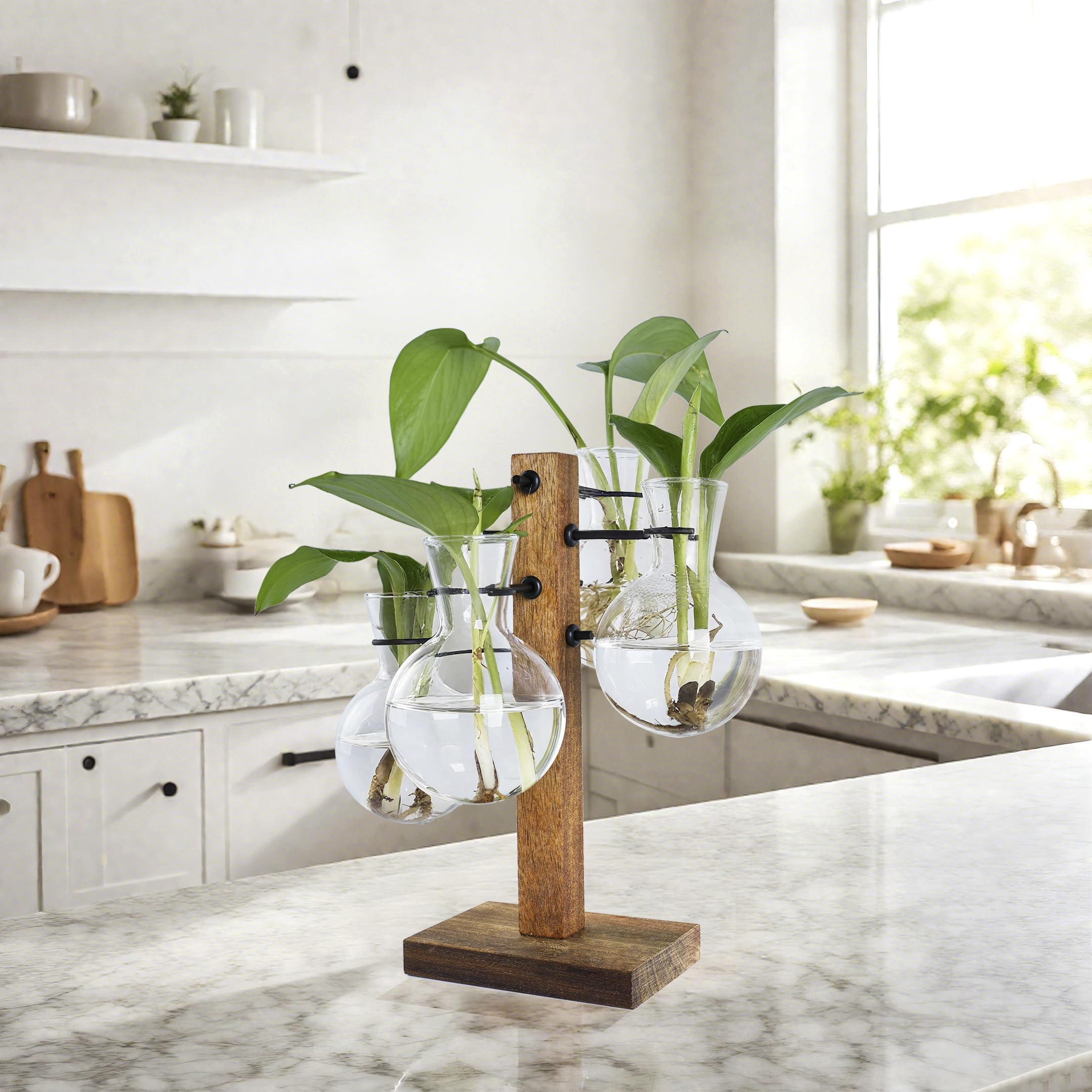 Station de propagation de plantes avec support en bois d'acacia et 4 vases en verre, vases de propagation élégants pour plantes, décoration de maison et de jardin – Cadeau idéal pour les amateurs de