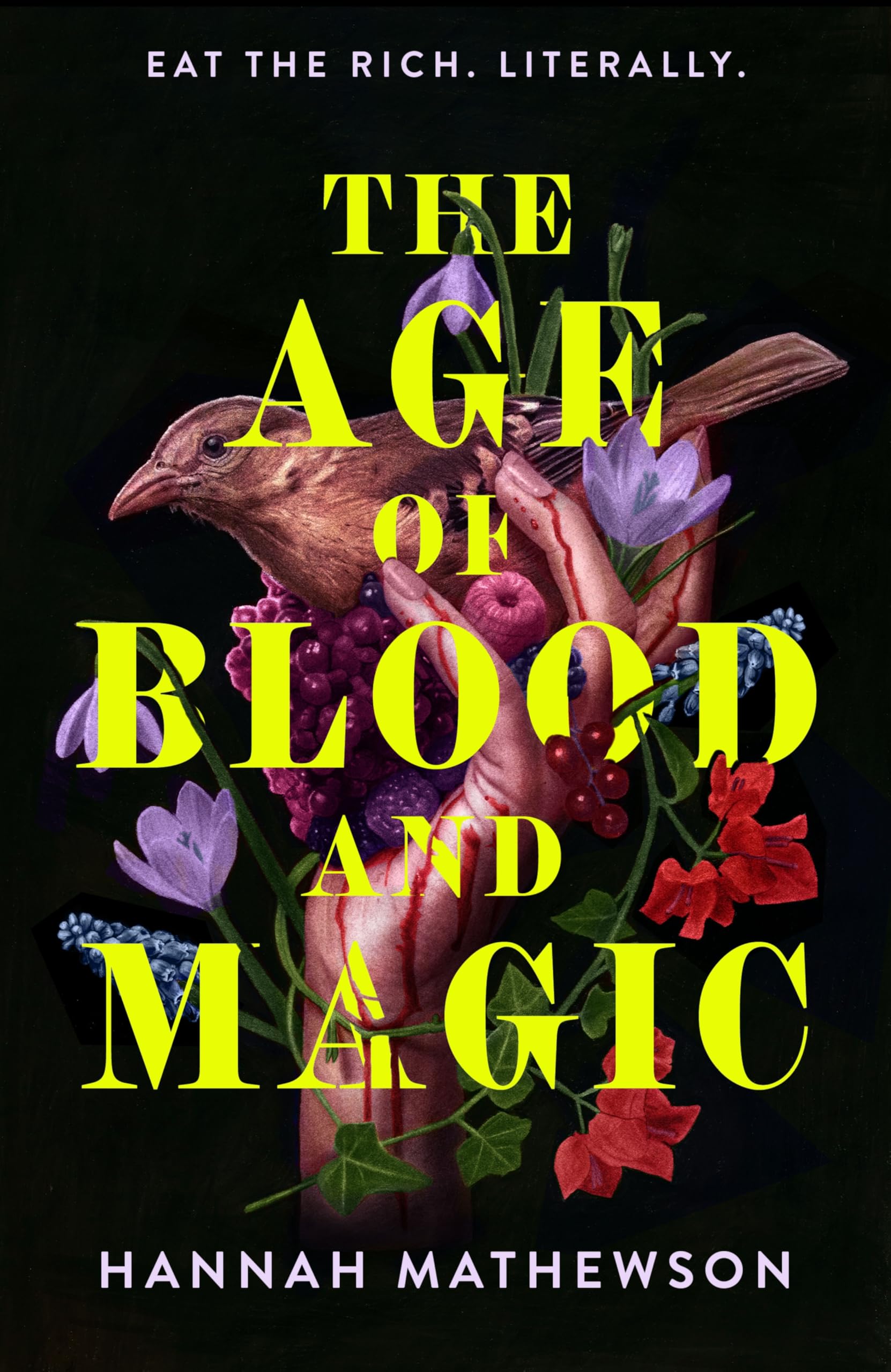The Age of Blood and Magic: A Novel