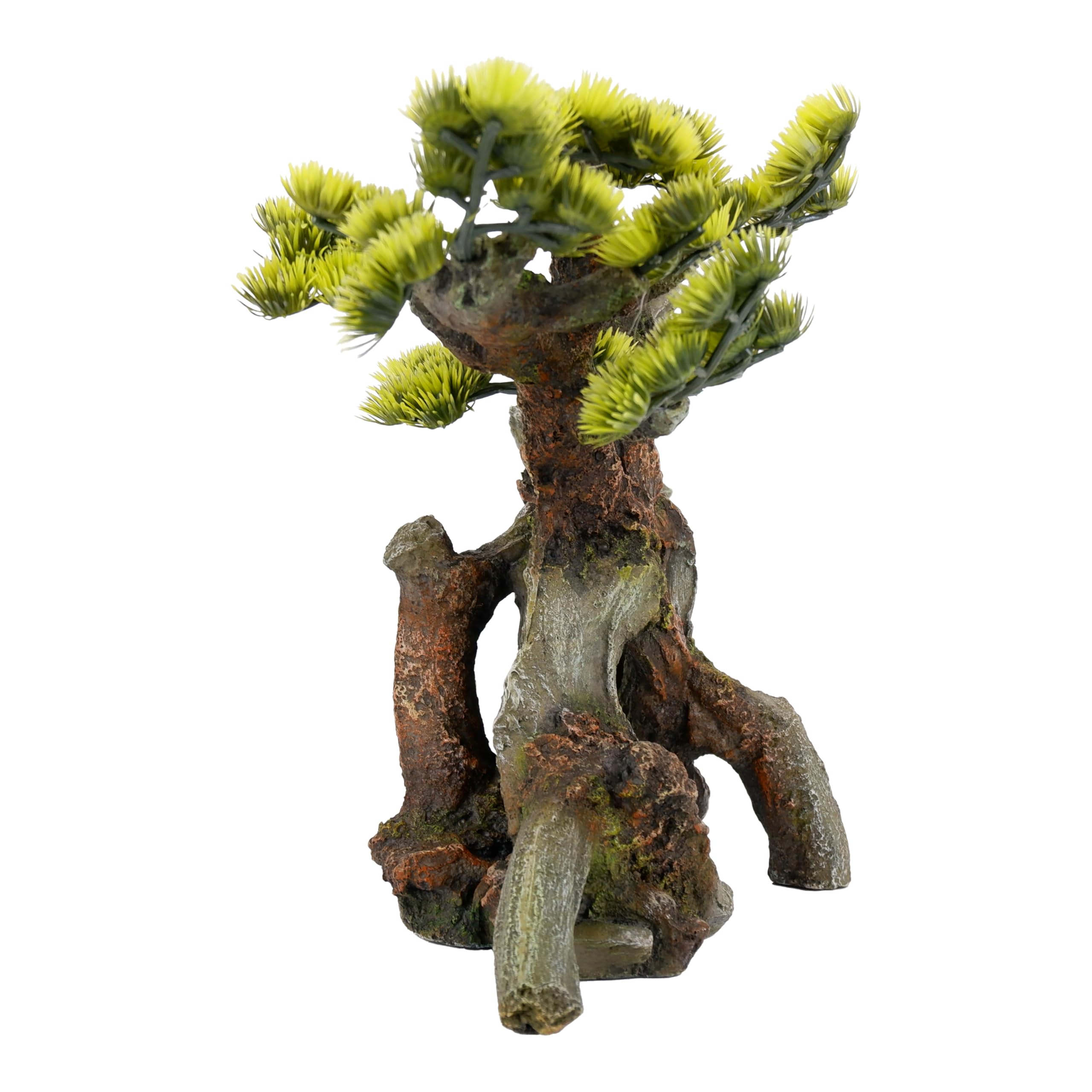 CLASSIC Bonsaï grimpant pour Aquarium - Décoration Naturelle - 280 x 150 x 238 mm
