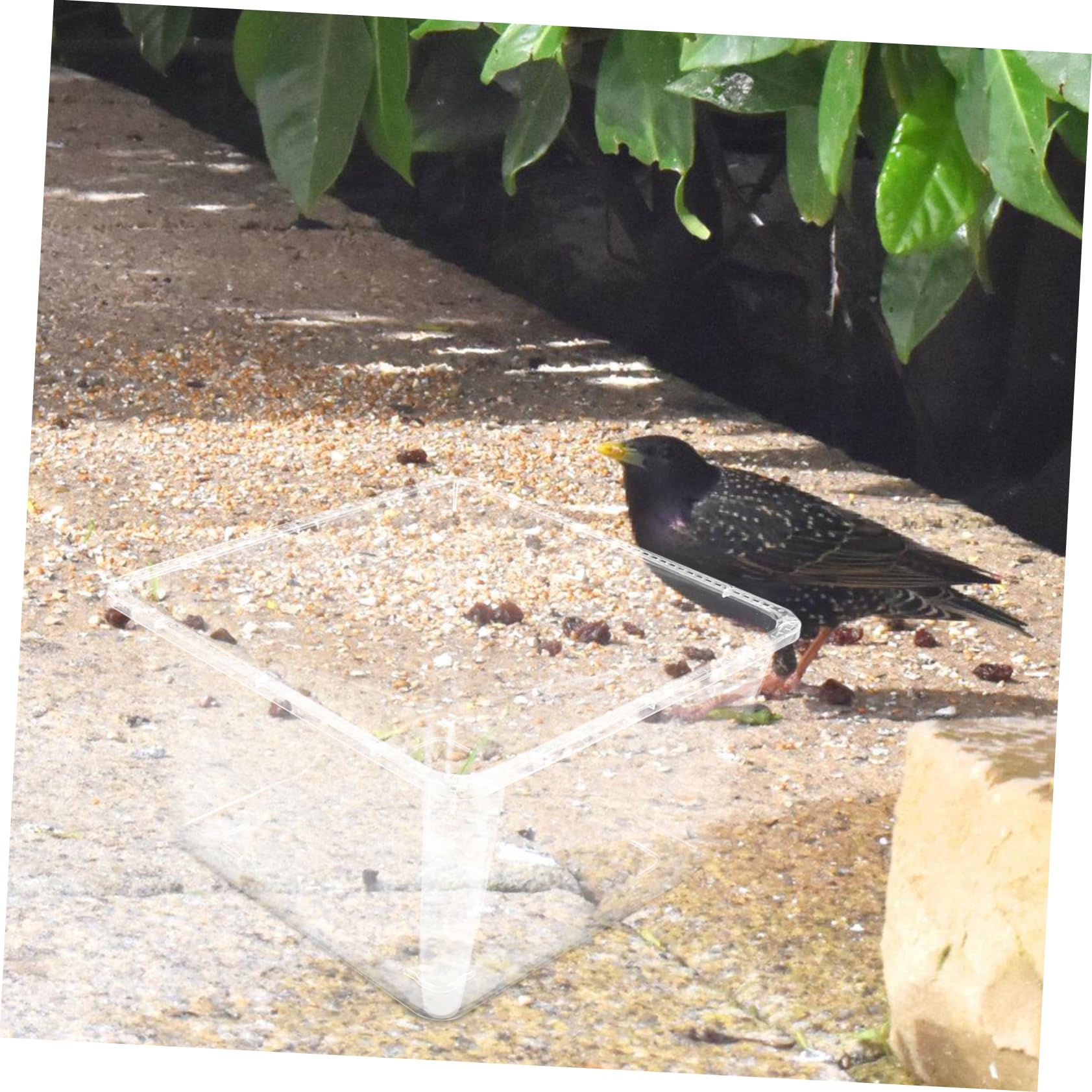 Balacoo Feeder Rain Birdcage Splash Cage Acrylic Feeder Cover Birdcage Supplies No Mess