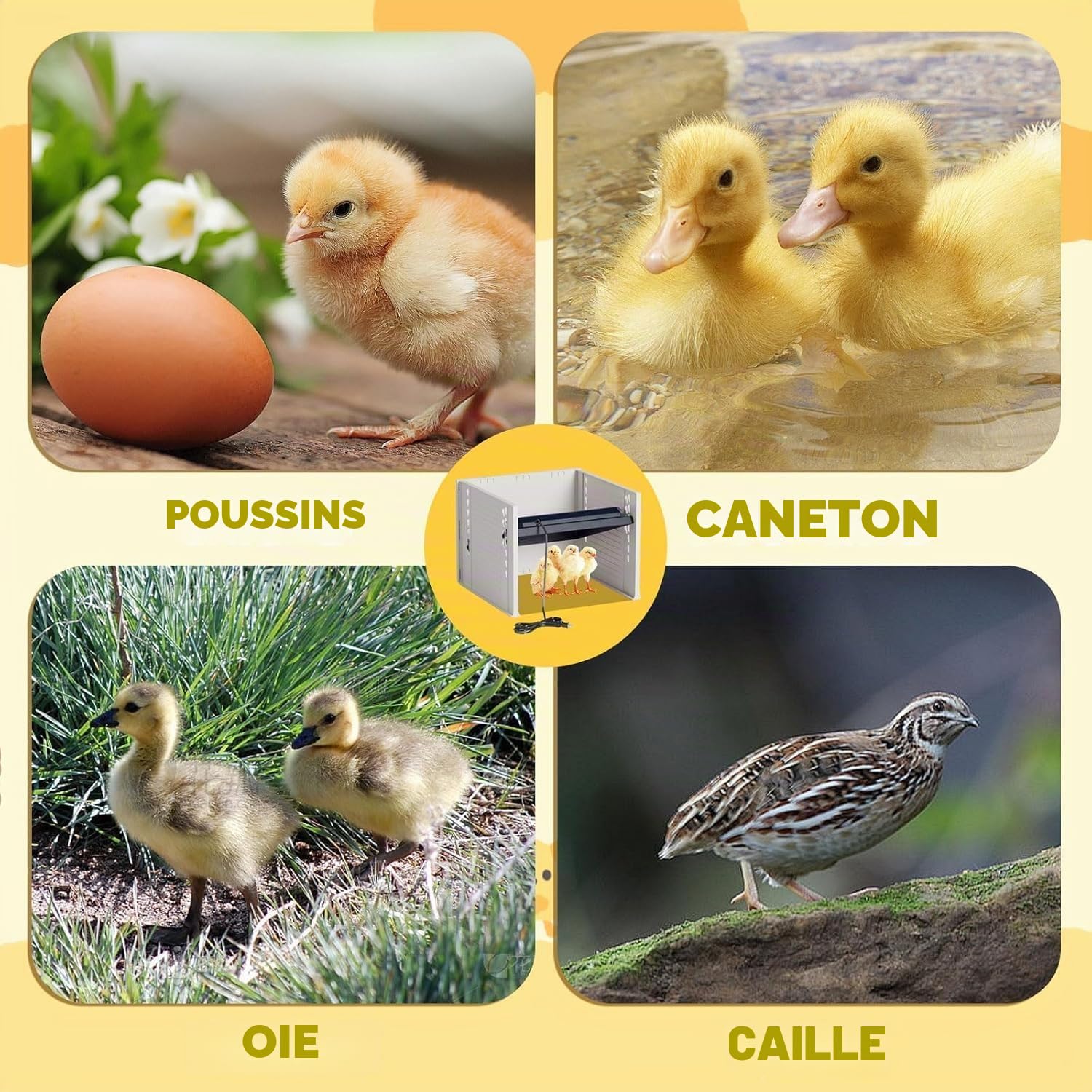 Plaque Chauffante pour Poussins, Plaque Electrique Lampe Chauffante Réglable en Hauteur, 10°C-65°C Chauffant pour Poulets, Lampe Chauffante Poussin pour Canetons, Poules, Cailles Naissantes, Jaune