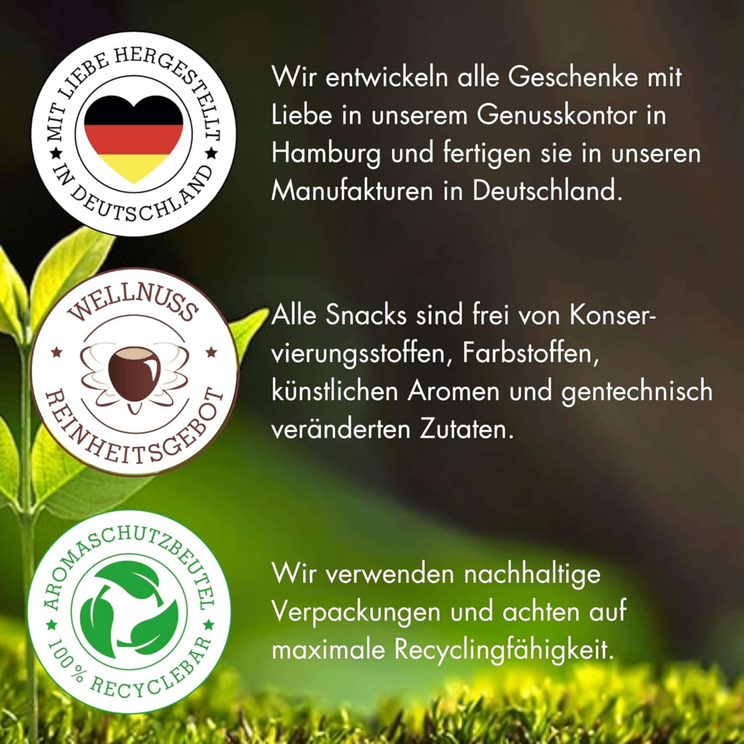 WELLNUSS Geschenkset für Männer Herrenabend mit edlen Nussmischungen 8 Premium Snacks in Birkenholzbox 8x60g Vegan