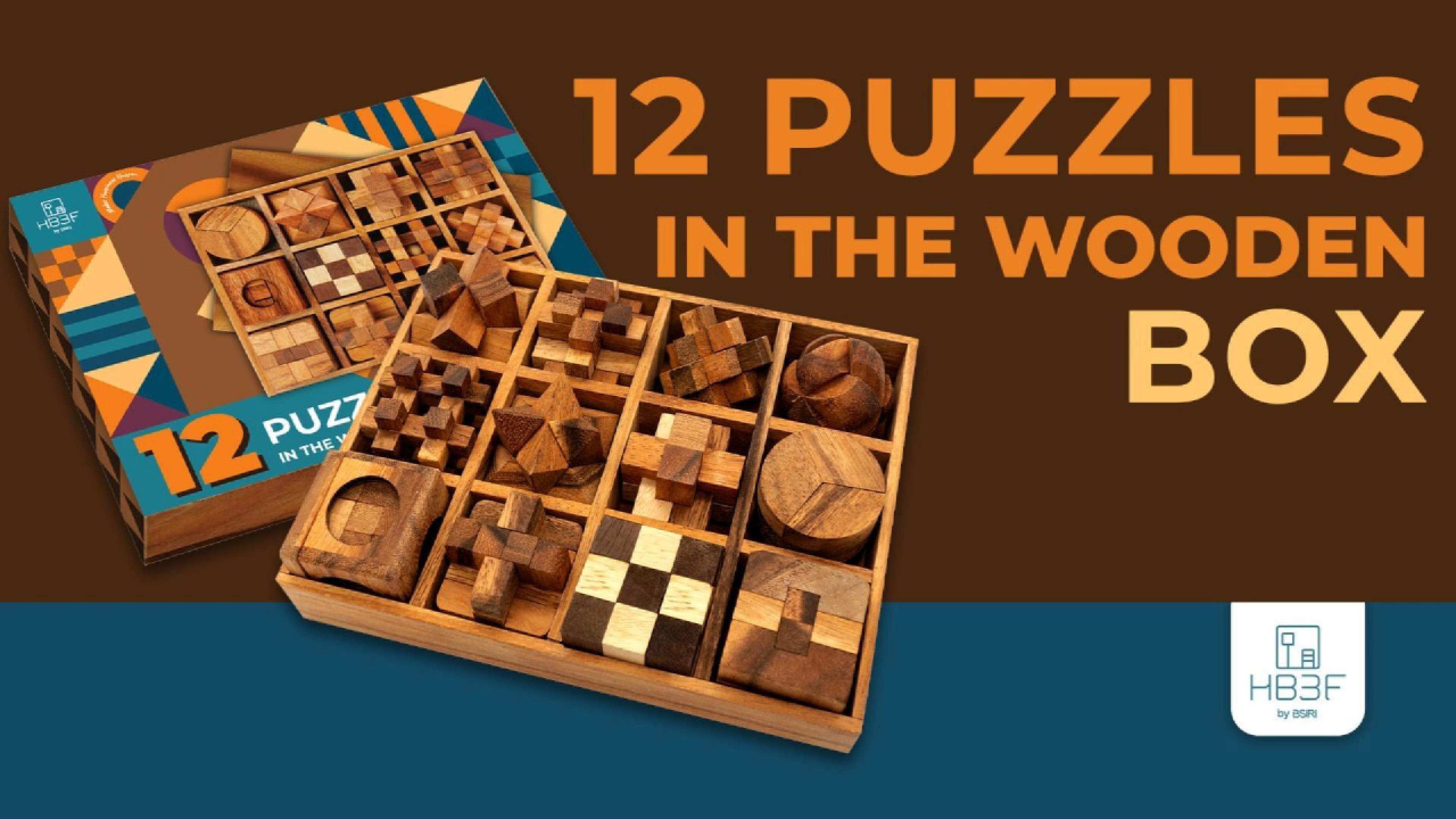 Amazon.com: BSIRI Wooden Brain Teaser Puzzles for Adults 12-in-1