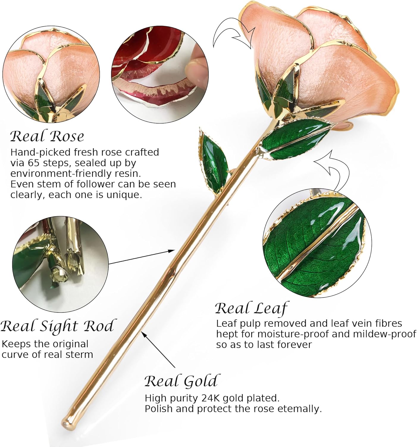 Sinvitron Gold Dipped Infinity Rose Forever Flower Decor, Resin Preserved Real Rose Birthday Gift for Women, Anniversary Present for Mom (Pink) - Image 2