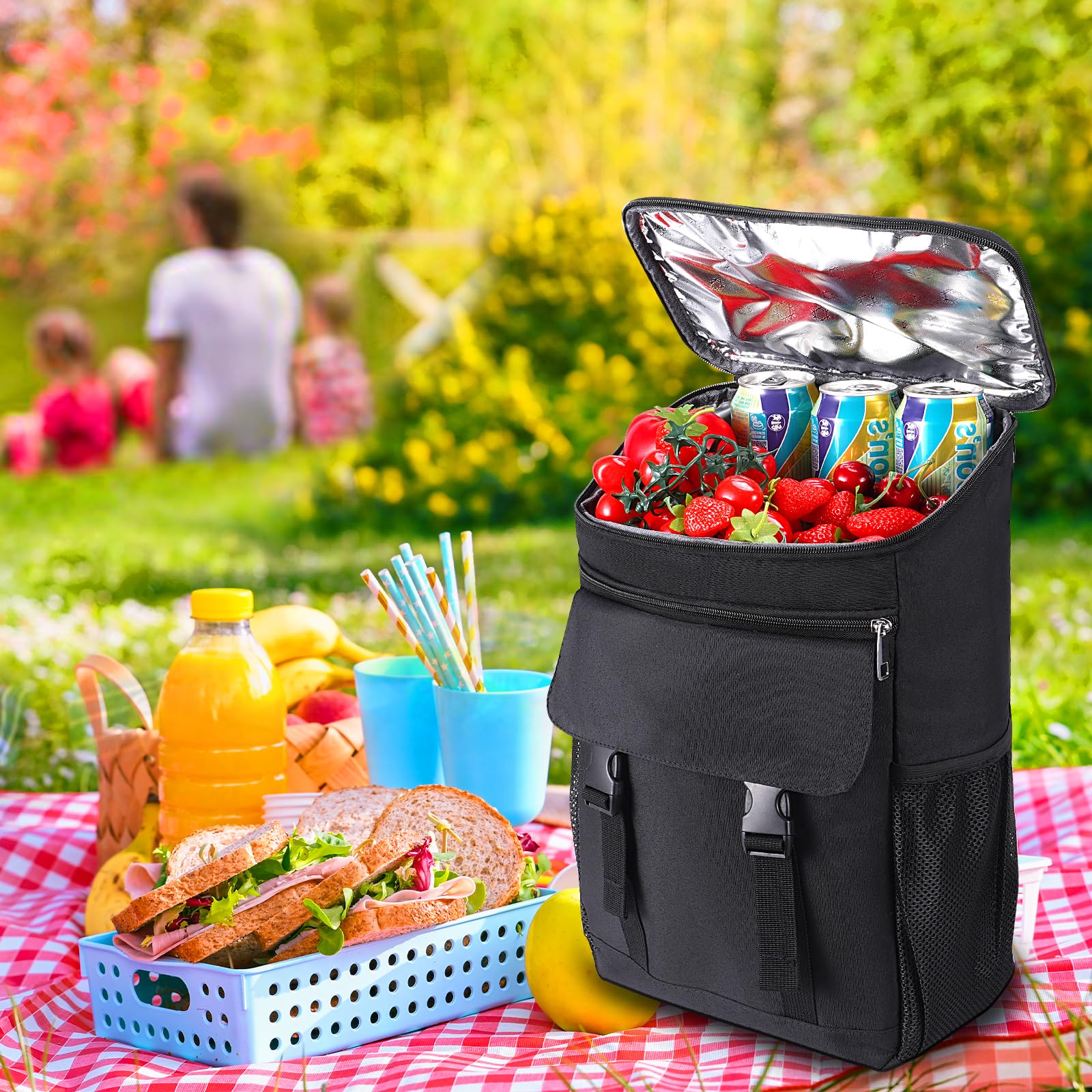 Cretosou Sac à Dos Isotherme 30 L pour Pique-Nique, Sac à déjeuner isolé, boîtes isothermes à vin à parois Souples, pour Pique-Nique/Barbecue/Plage