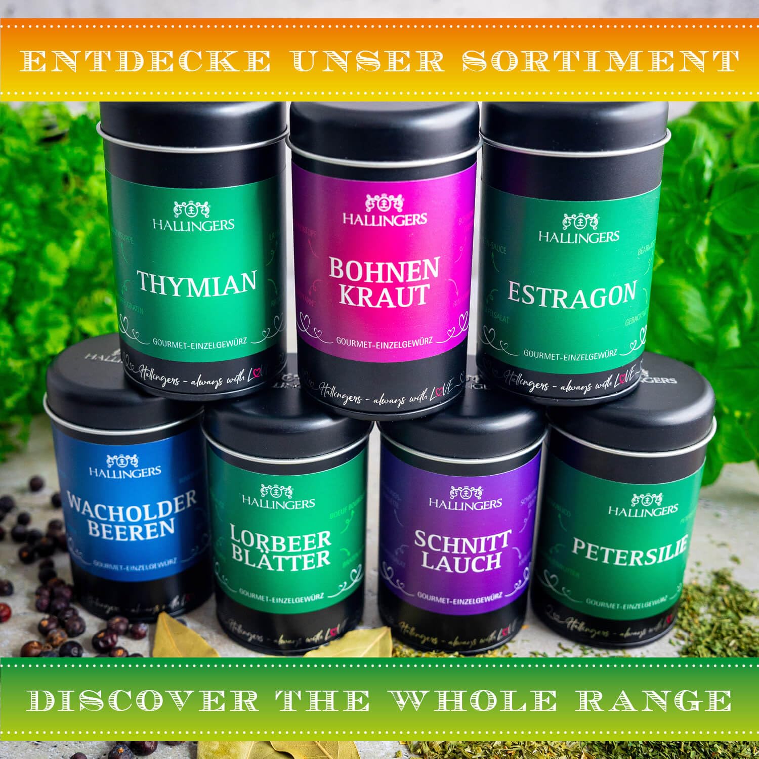 Hallingers Genuss Manufaktur Gewürz Geschenk-Set - Selektion unserer Besteller als Probierset in edlen Aromadosen & Tragetasche "Starter Set No. 3", Geschenkidee für Frauen Männer