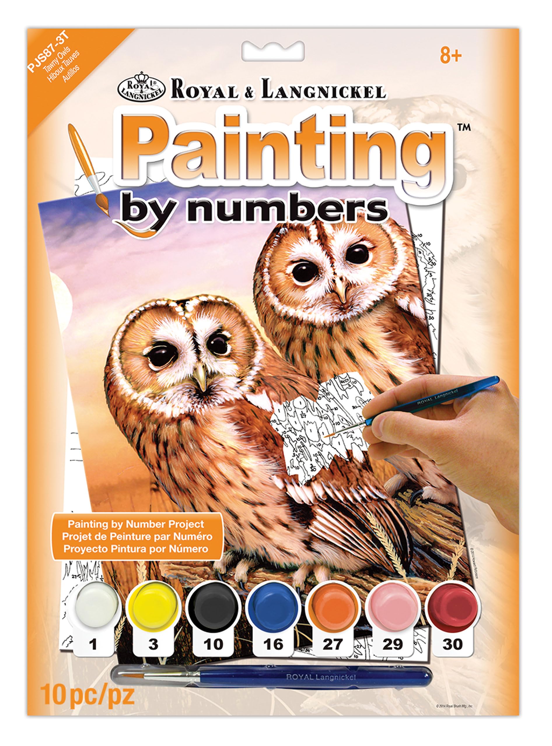 Royal Brush Various Junior Small Paint By Number Kit 8.75-inch x 11.75-inch, Tawny Owls