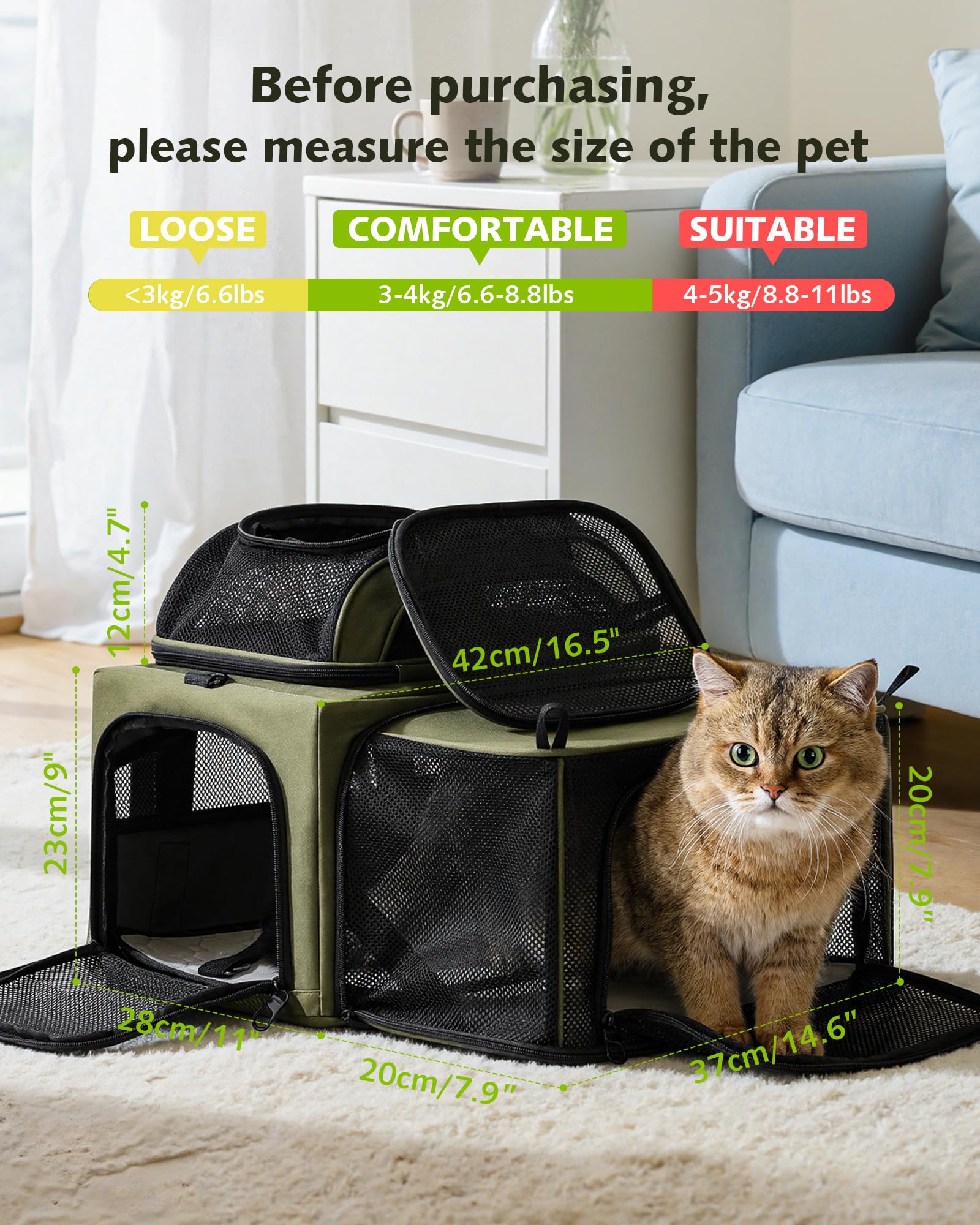 https://m.media-amazon.com/images/I/81QbRvo3VaL.jpg